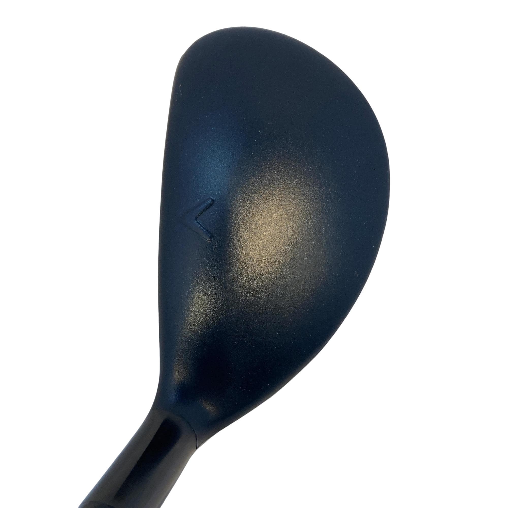 �w�q�@�t�S�@���f�B�[�X