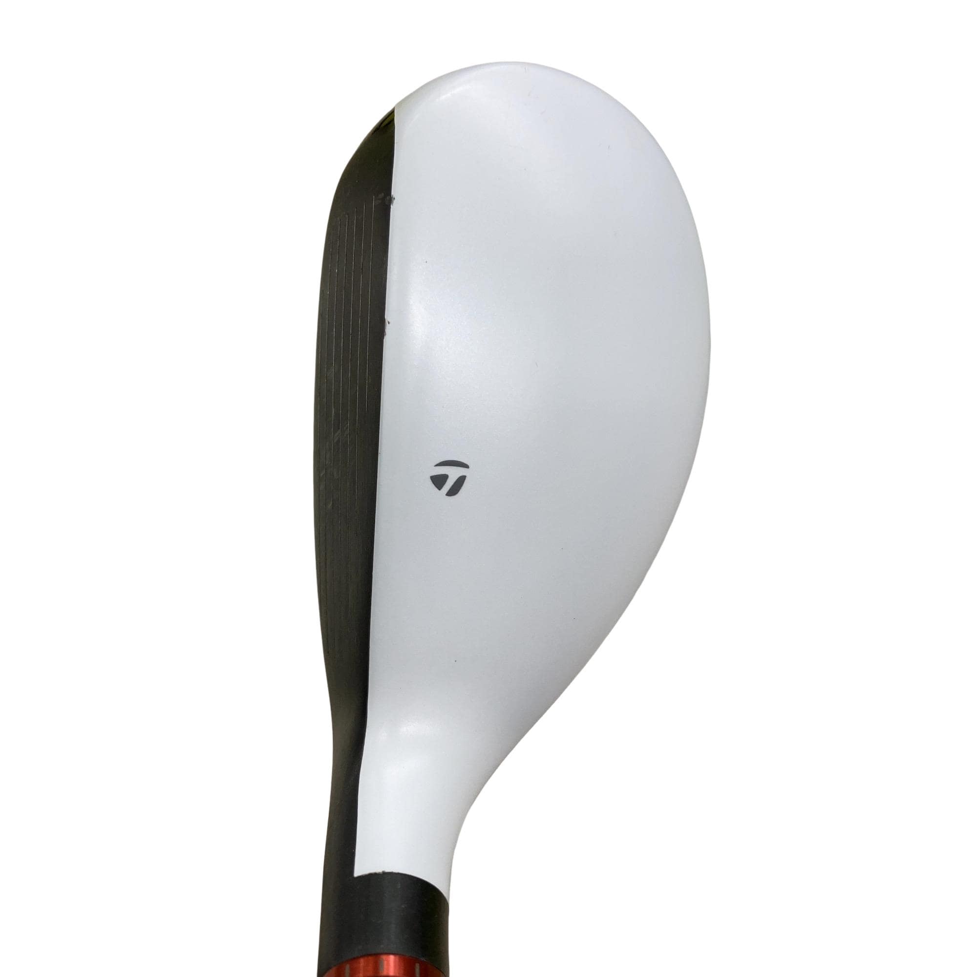 �q�P�T�@�t�R