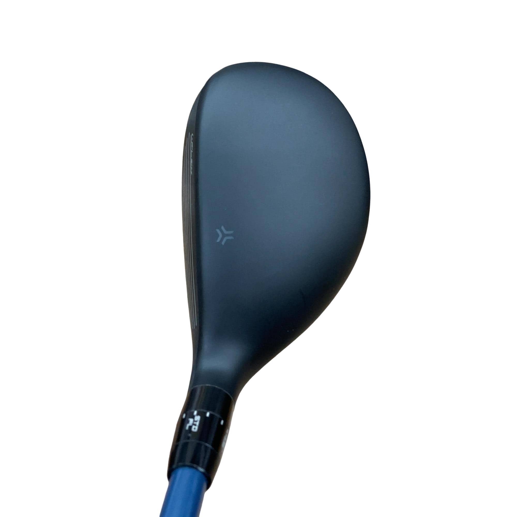 �r�q�h�w�n�m�@�y�w���@�g�T