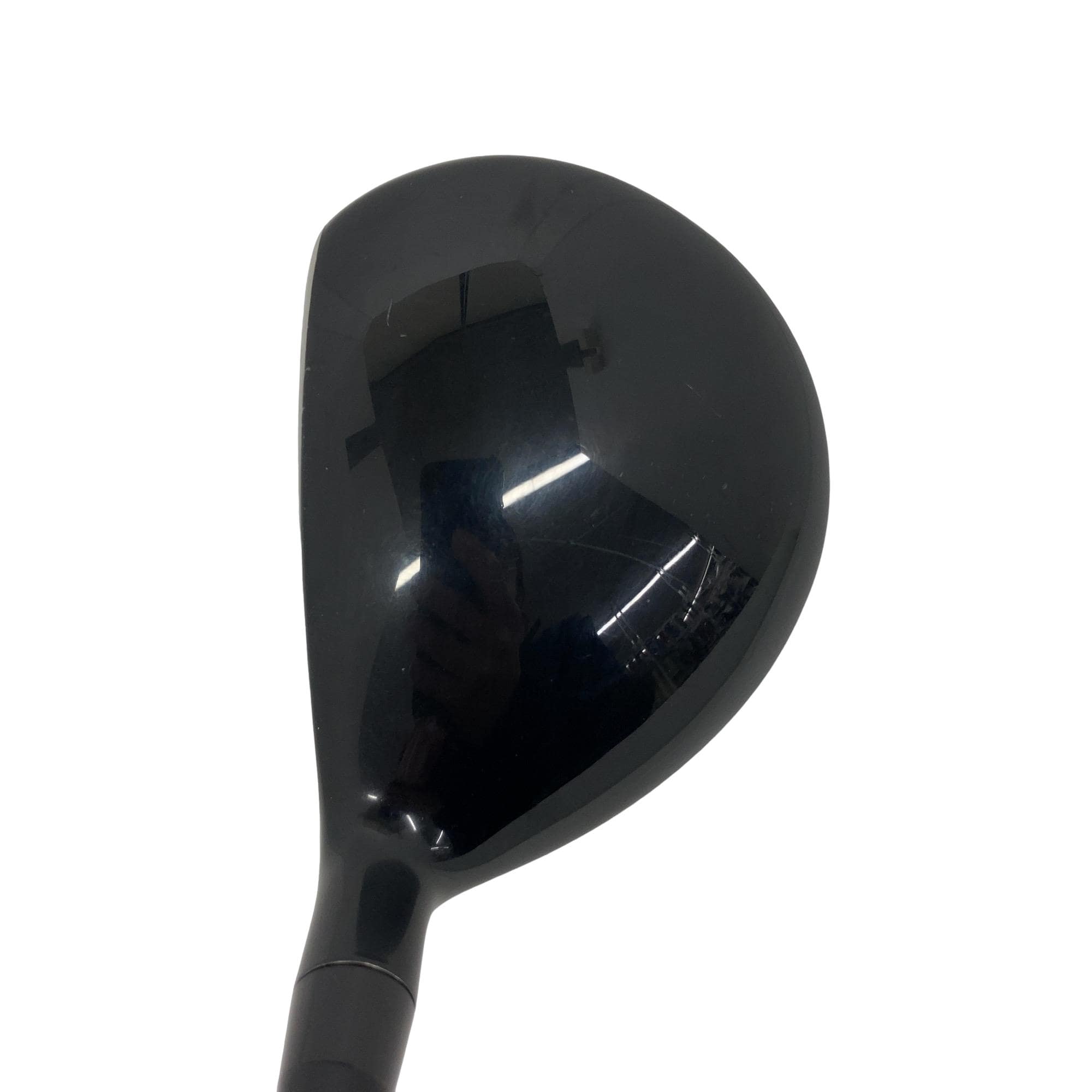 �o�������������@�r�����������@�R�v