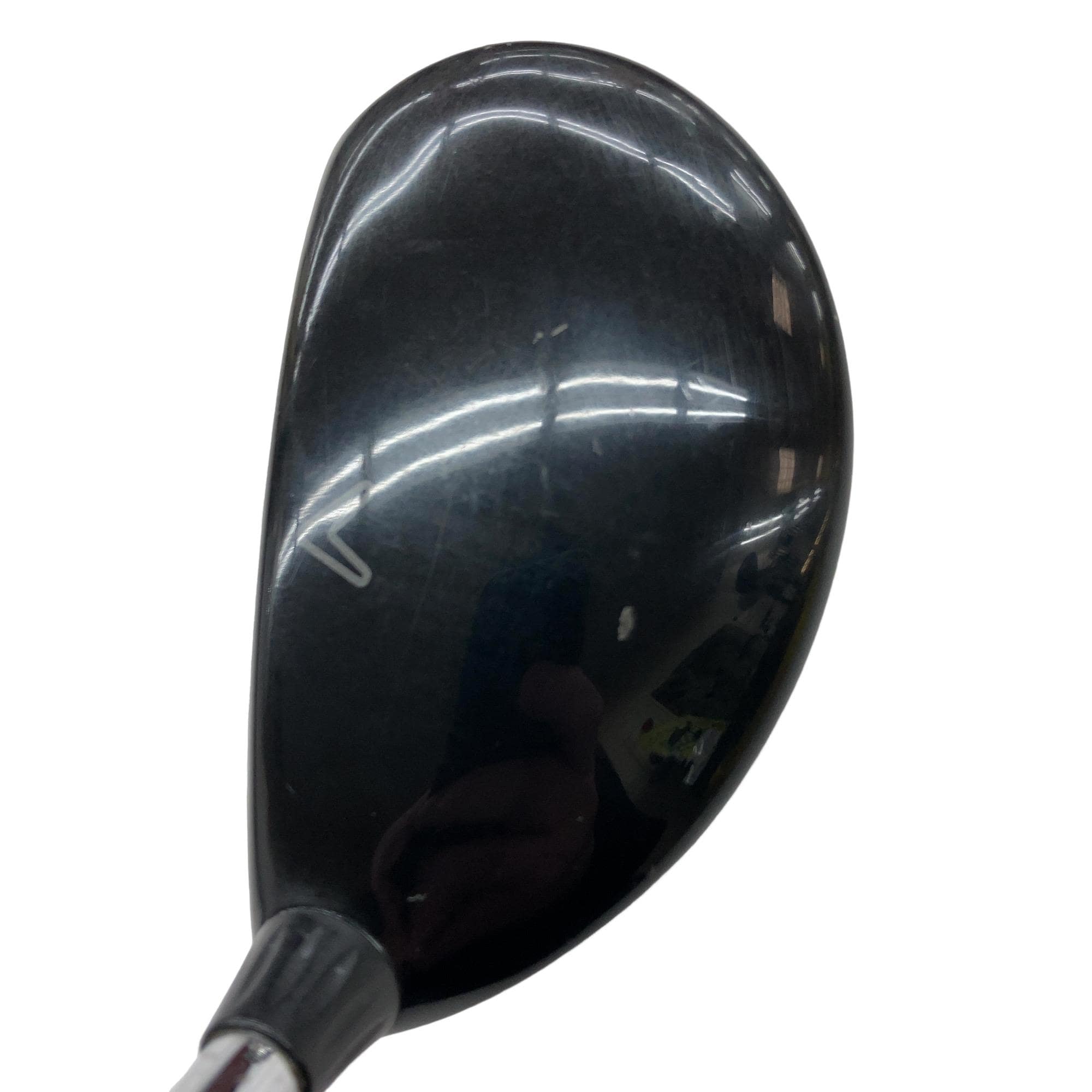 �w�@���[�e�B���e�B�@�S�g�@�t�r�`