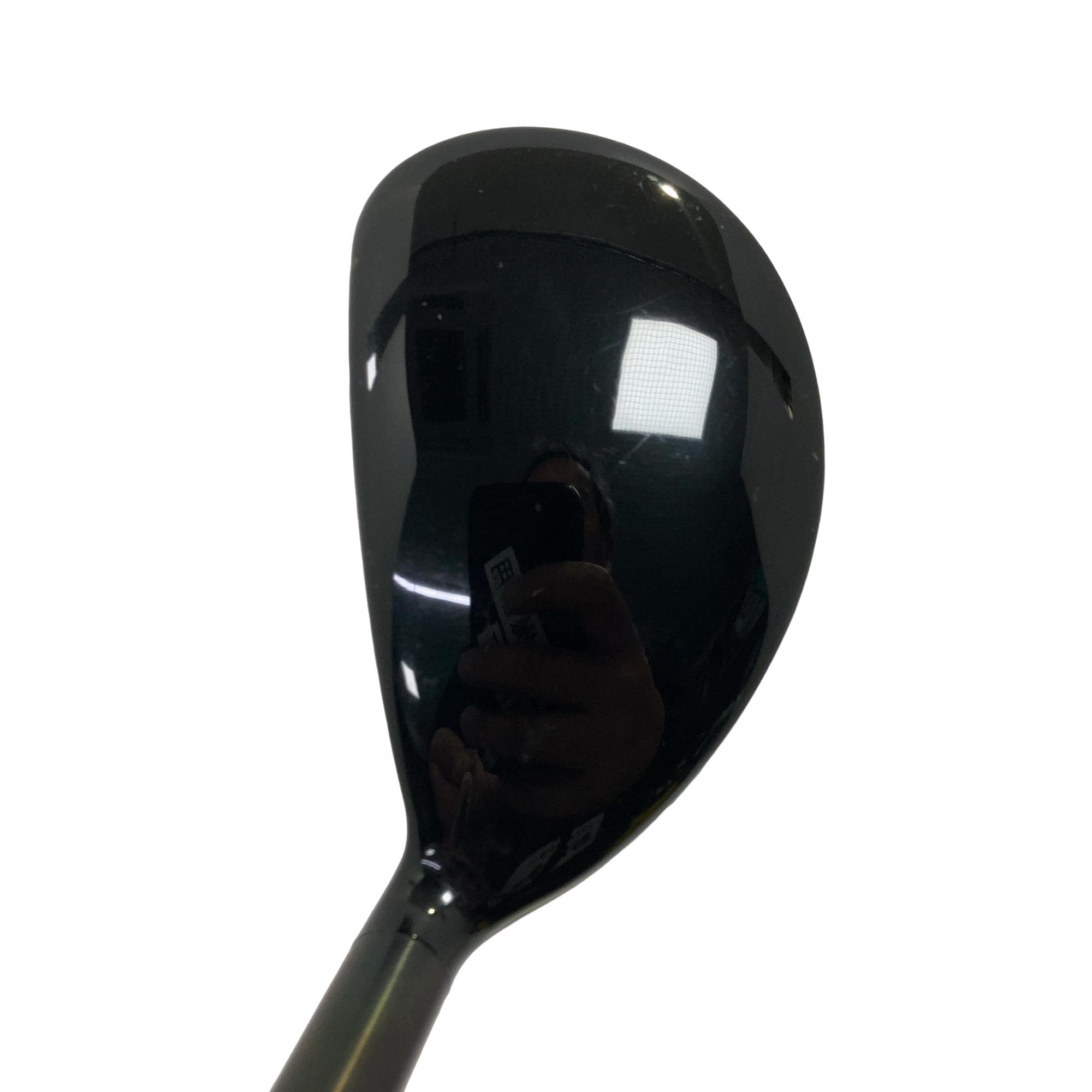 �w�@�g�n�s�@�t�S