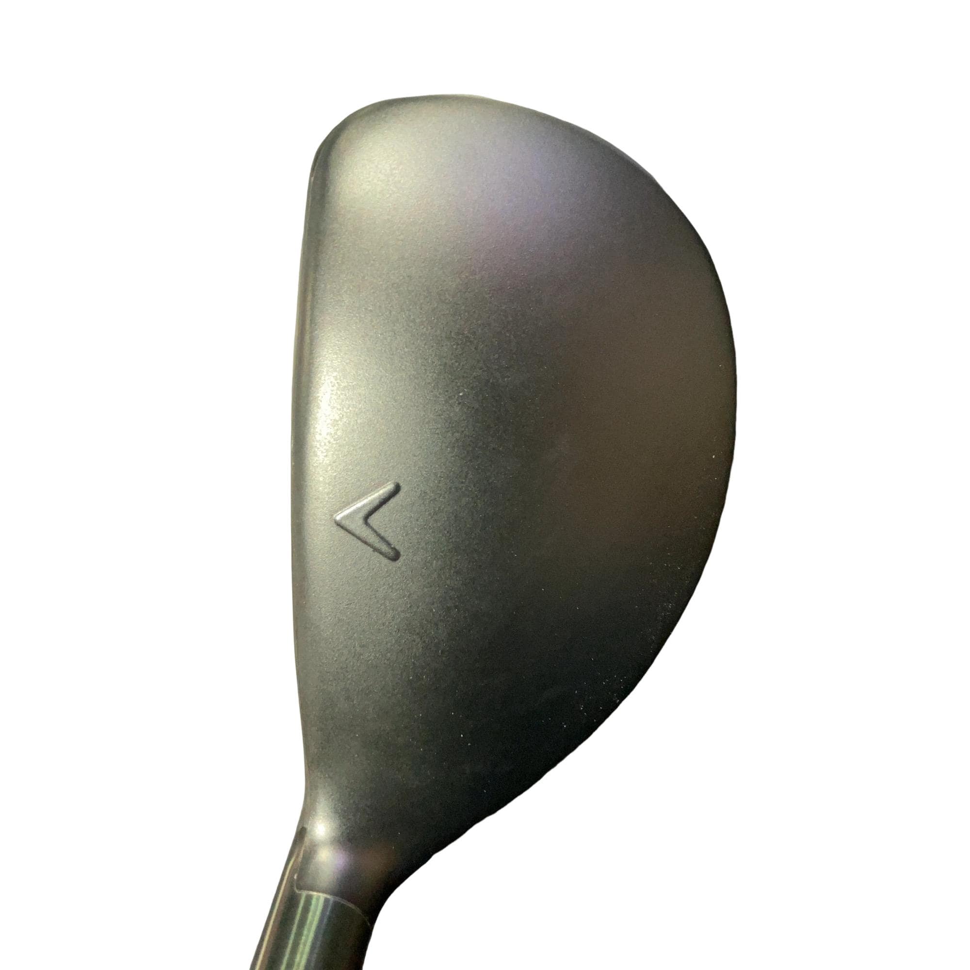 �w�q�@�P�U�@�n�r�@�t�R