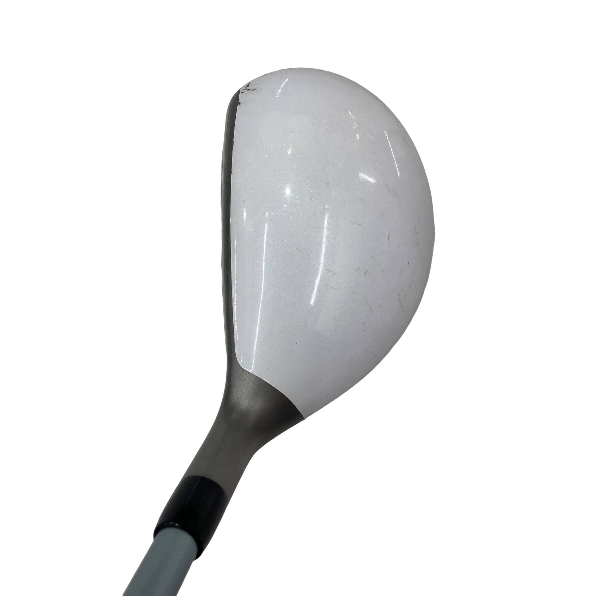 �a�q�|�w�@�t�T�@���f�B�[�X