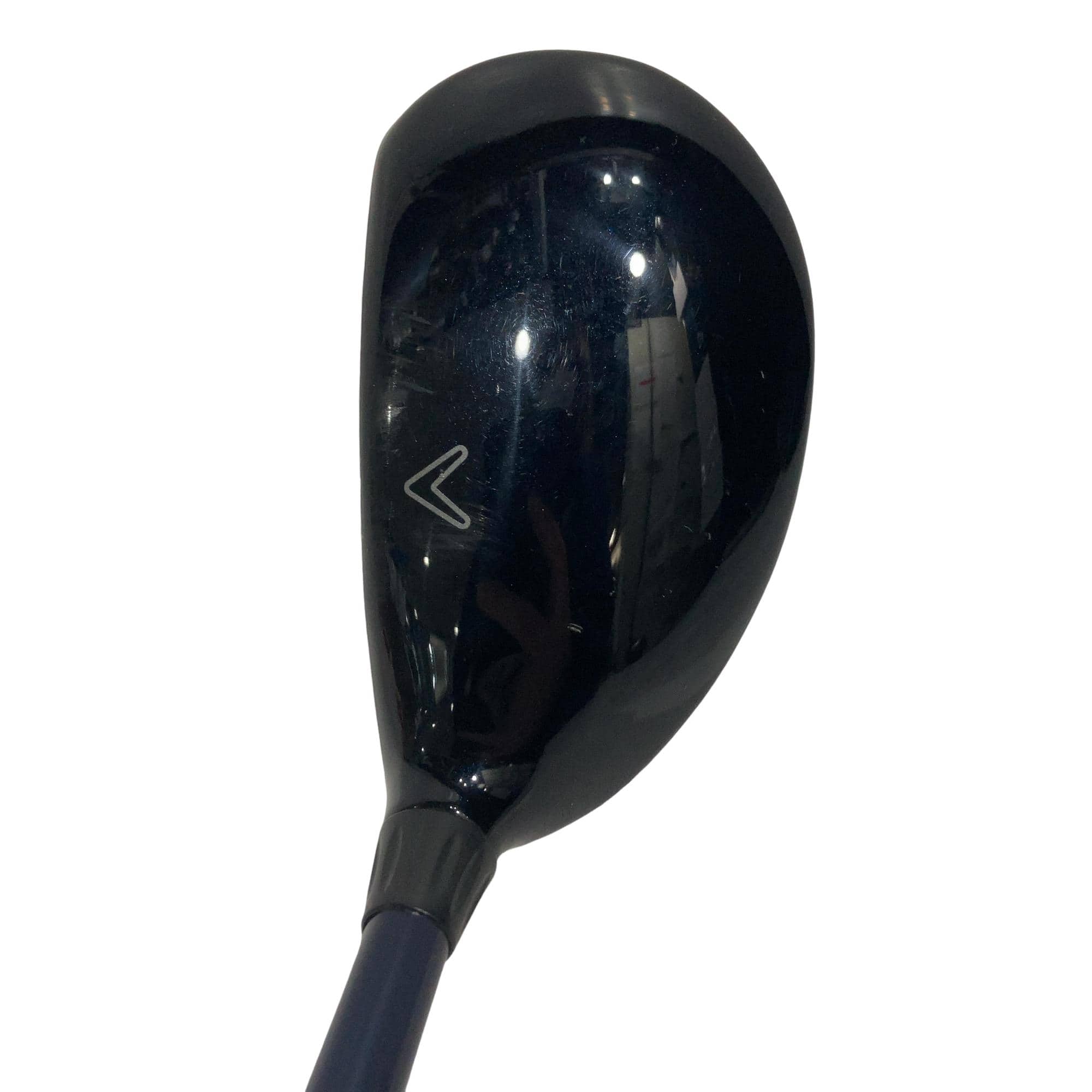 �w�@�c�q�r�@���[�e�B���e�B�@�R�g�i�Q�P°�j