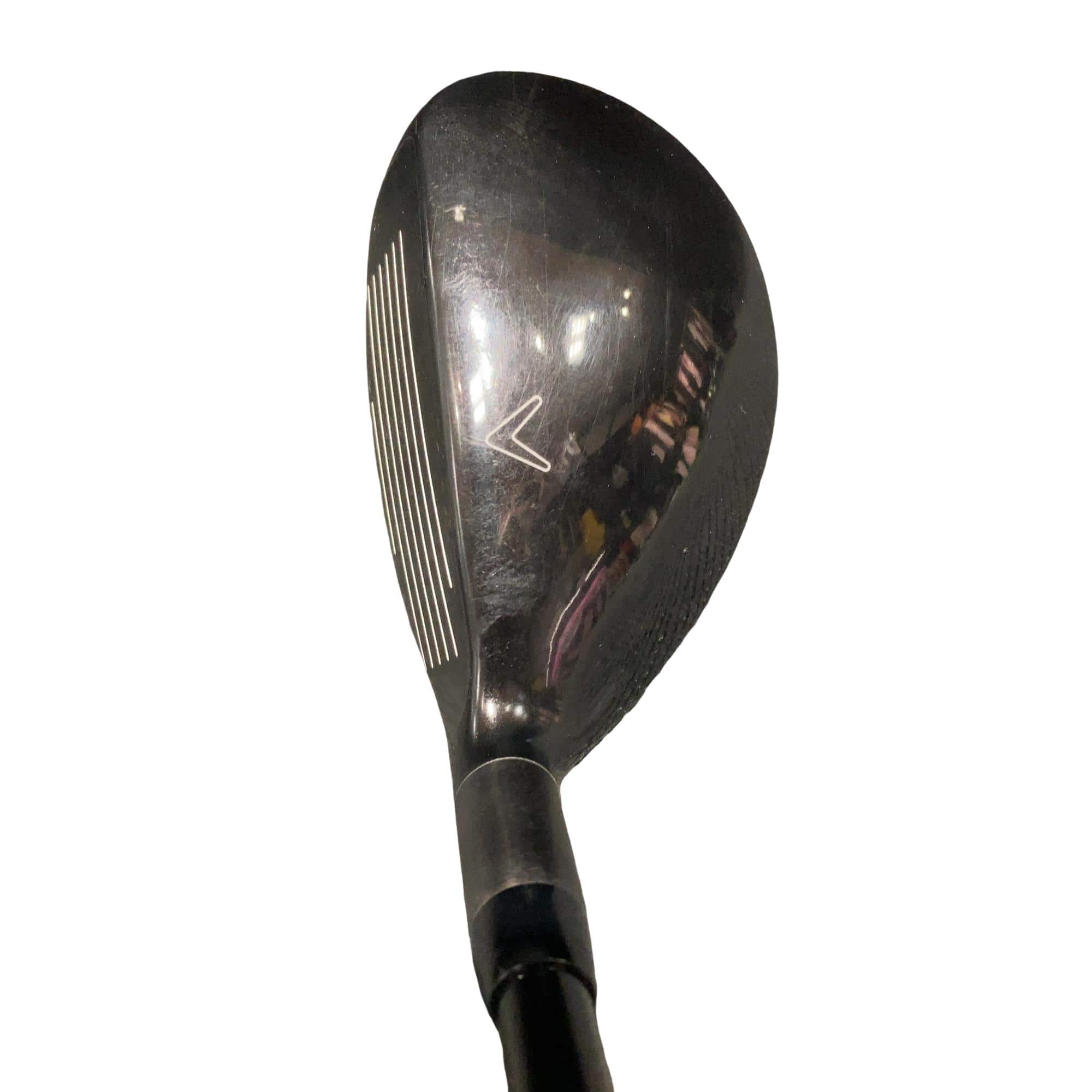 �w�Q�@�g�n�s�@�t�R