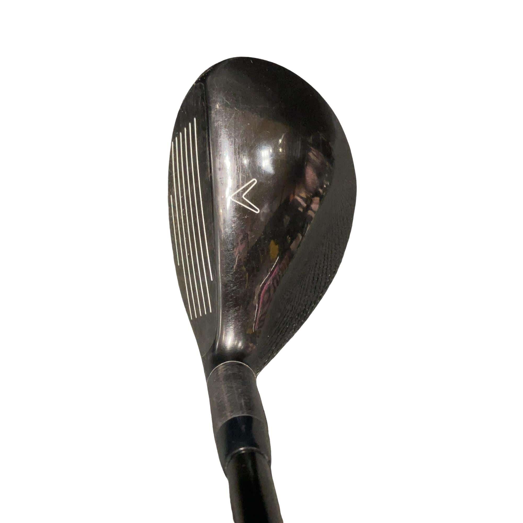 �w�Q�@�g�n�s�@�t�T