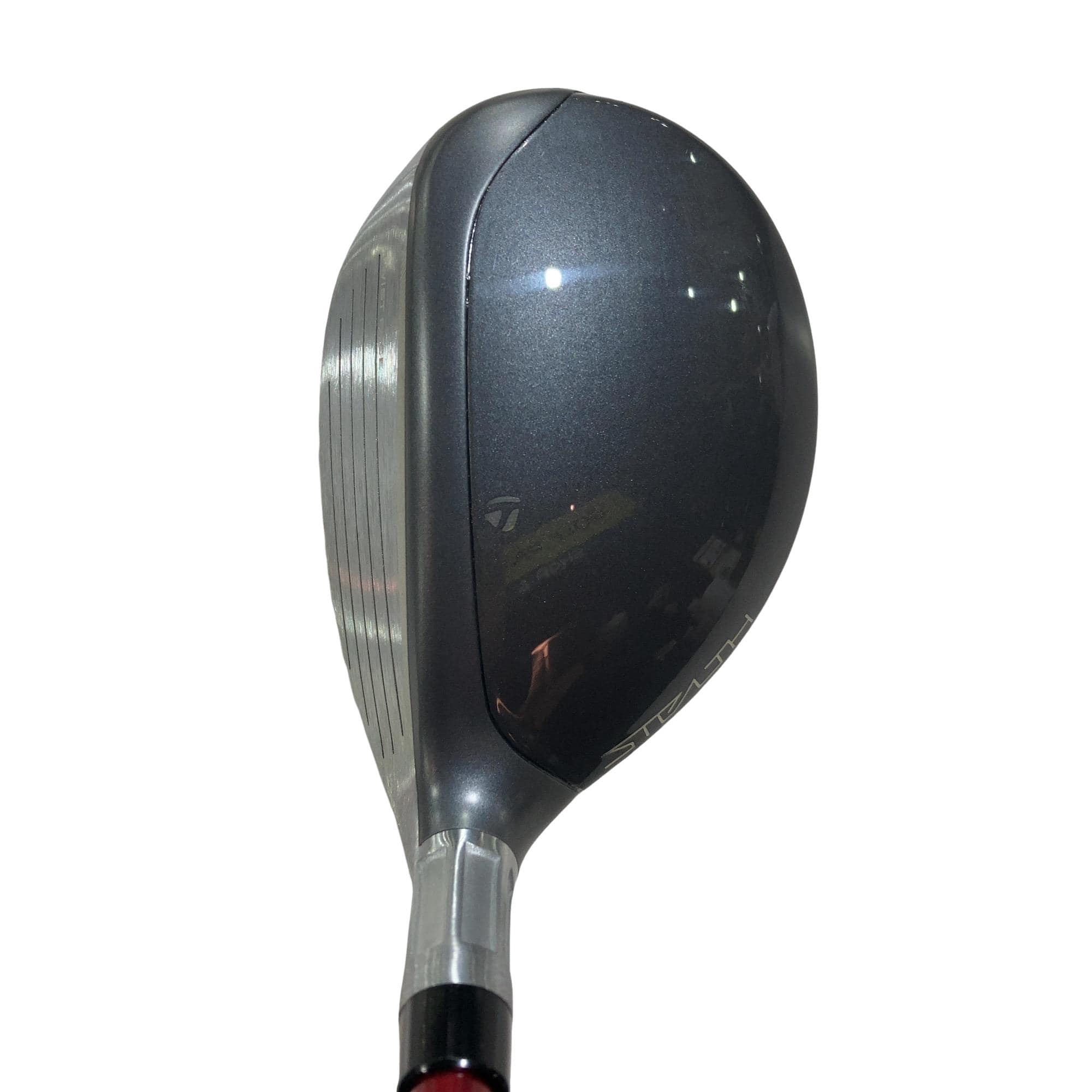 �r�s�d�`�k�s�g�Q�@�g�c�@�t�U�@���f�B�[�X