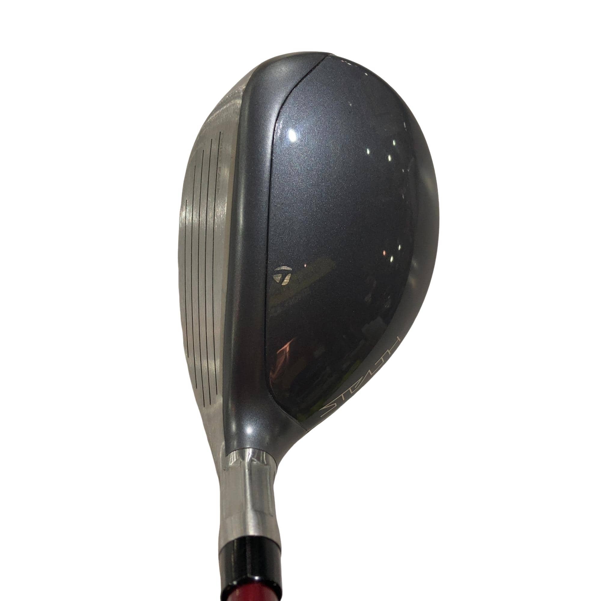 �r�s�d�`�k�s�g�Q�@�g�c�@�t�T�@���f�B�[�X