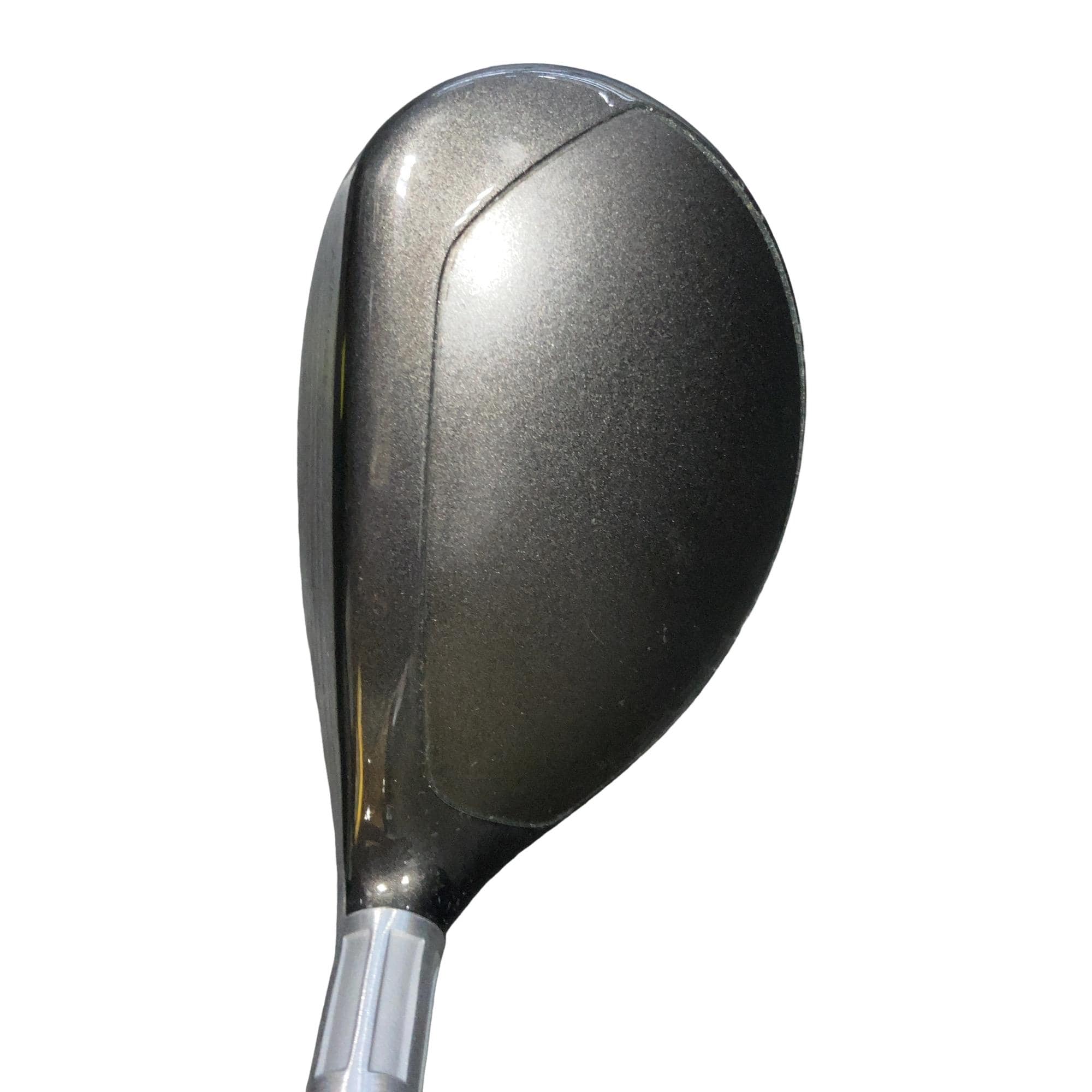 �r�s�d�`�k�s�g�@�t�S�@���f�B�[�X