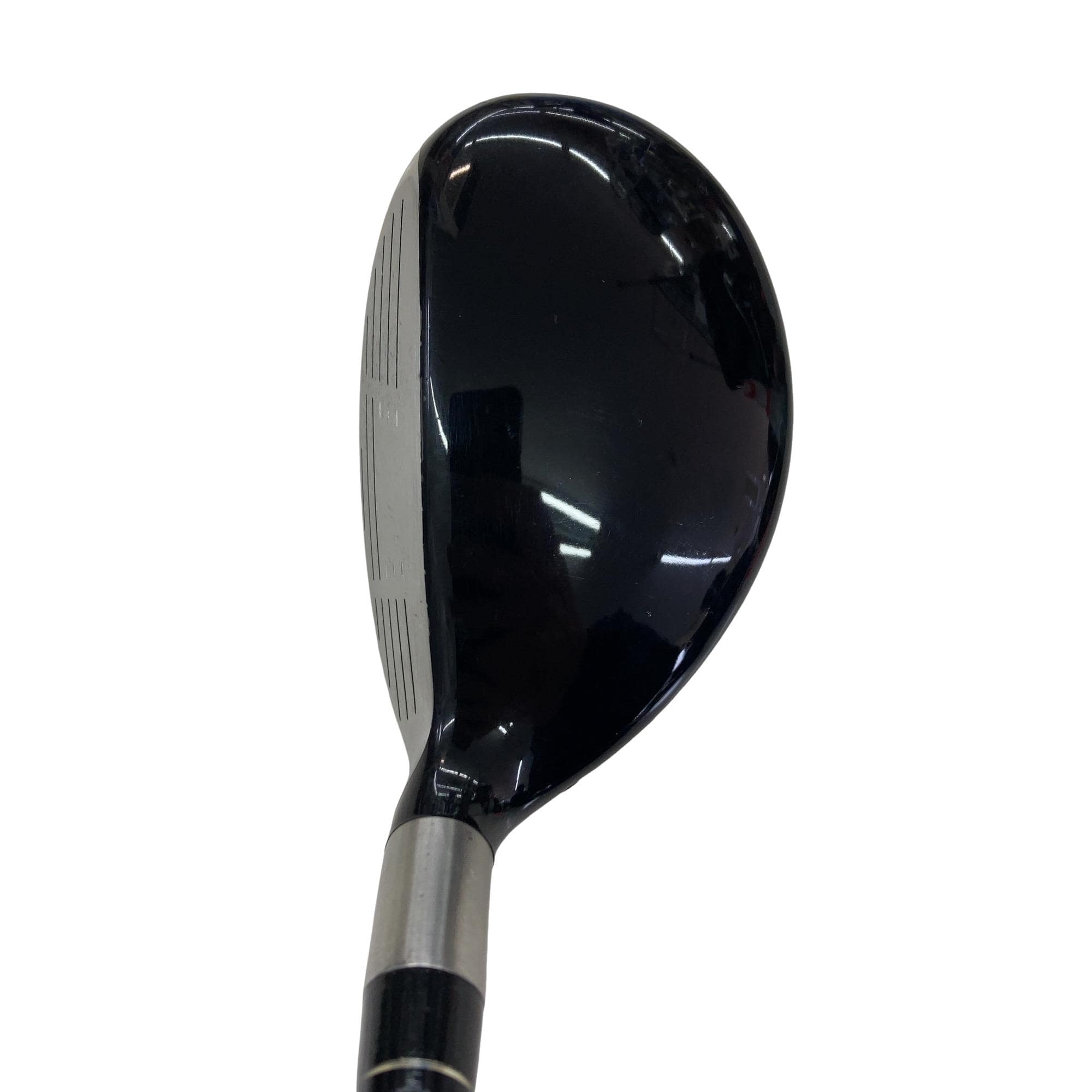 �e�s�@���[�e�B���e�B�@�c�q�`�v�@�S�g