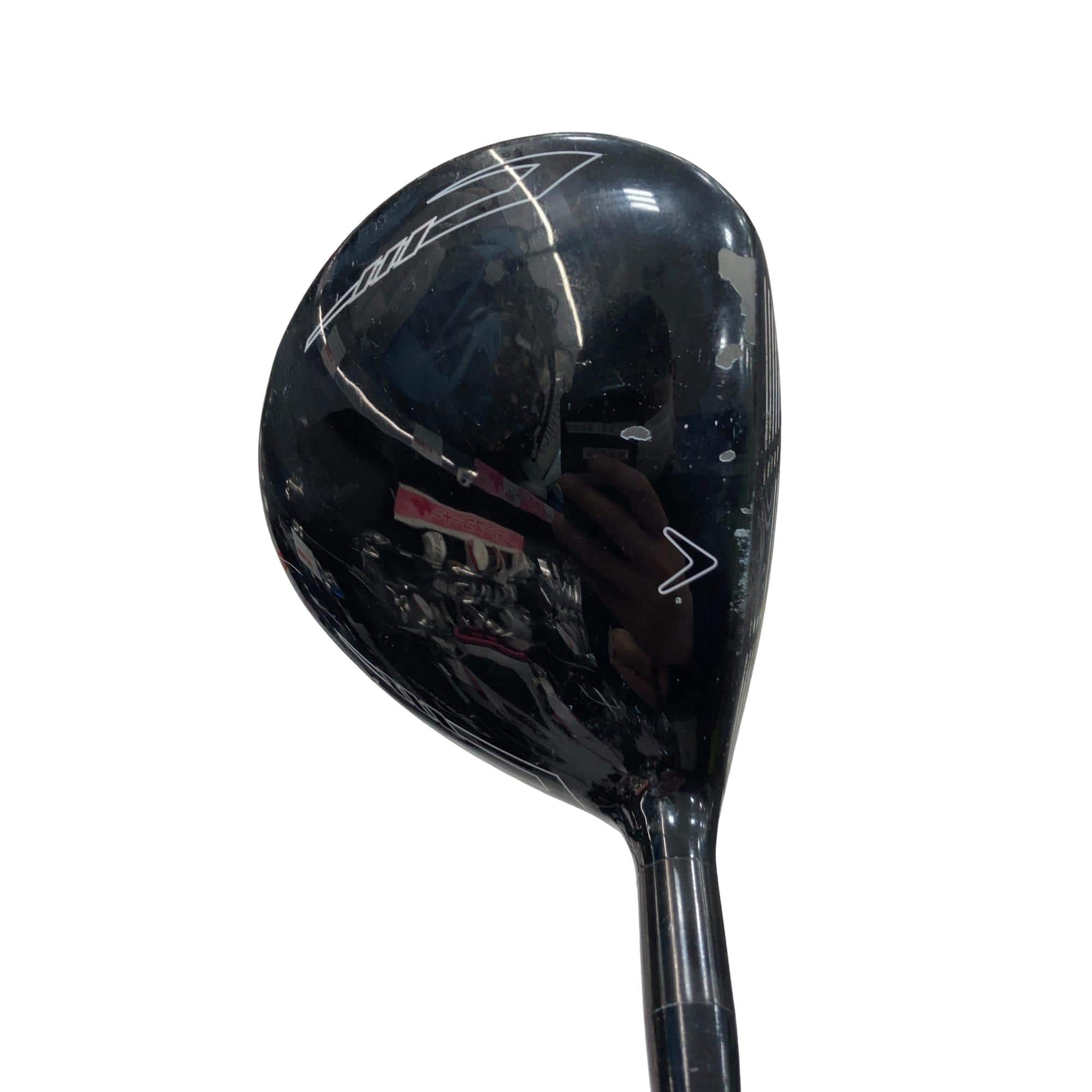 �w�Q�@�g�n�s�@�@�T�v�@���t�e�B