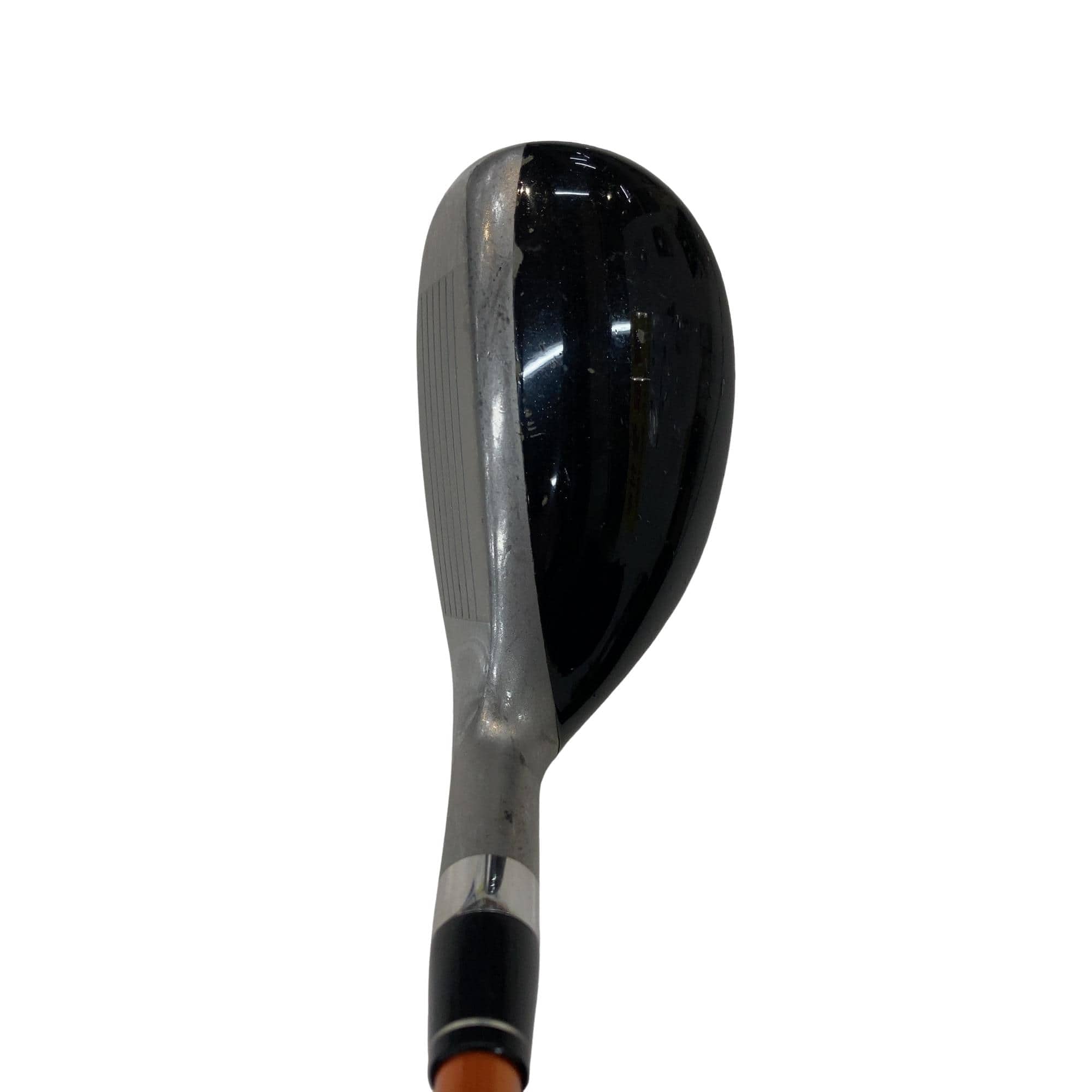 �u�q�@�o�q�n�@���[�e�B���e�B�@�t�S