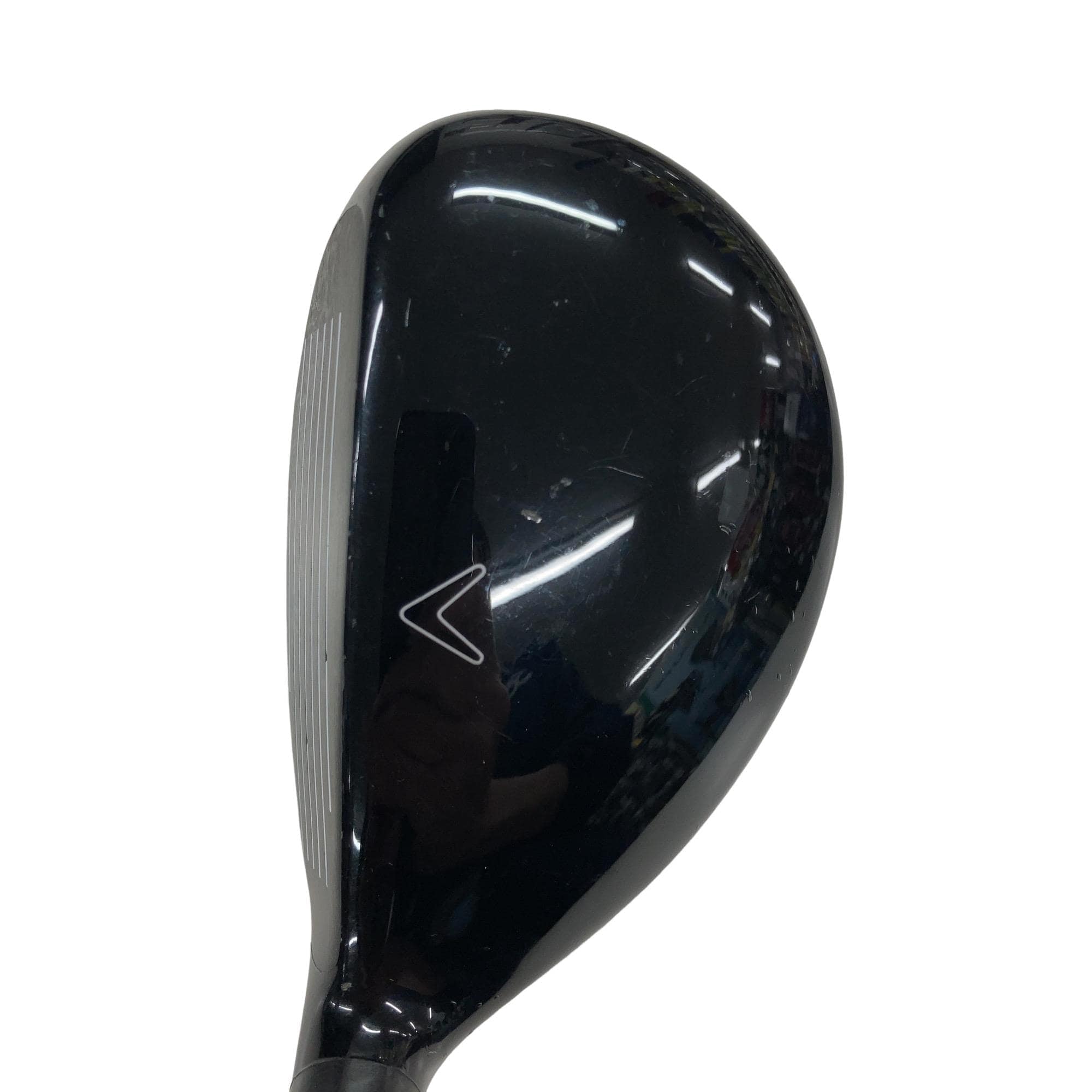 �w�Q�@�g�n�s�@�t�S