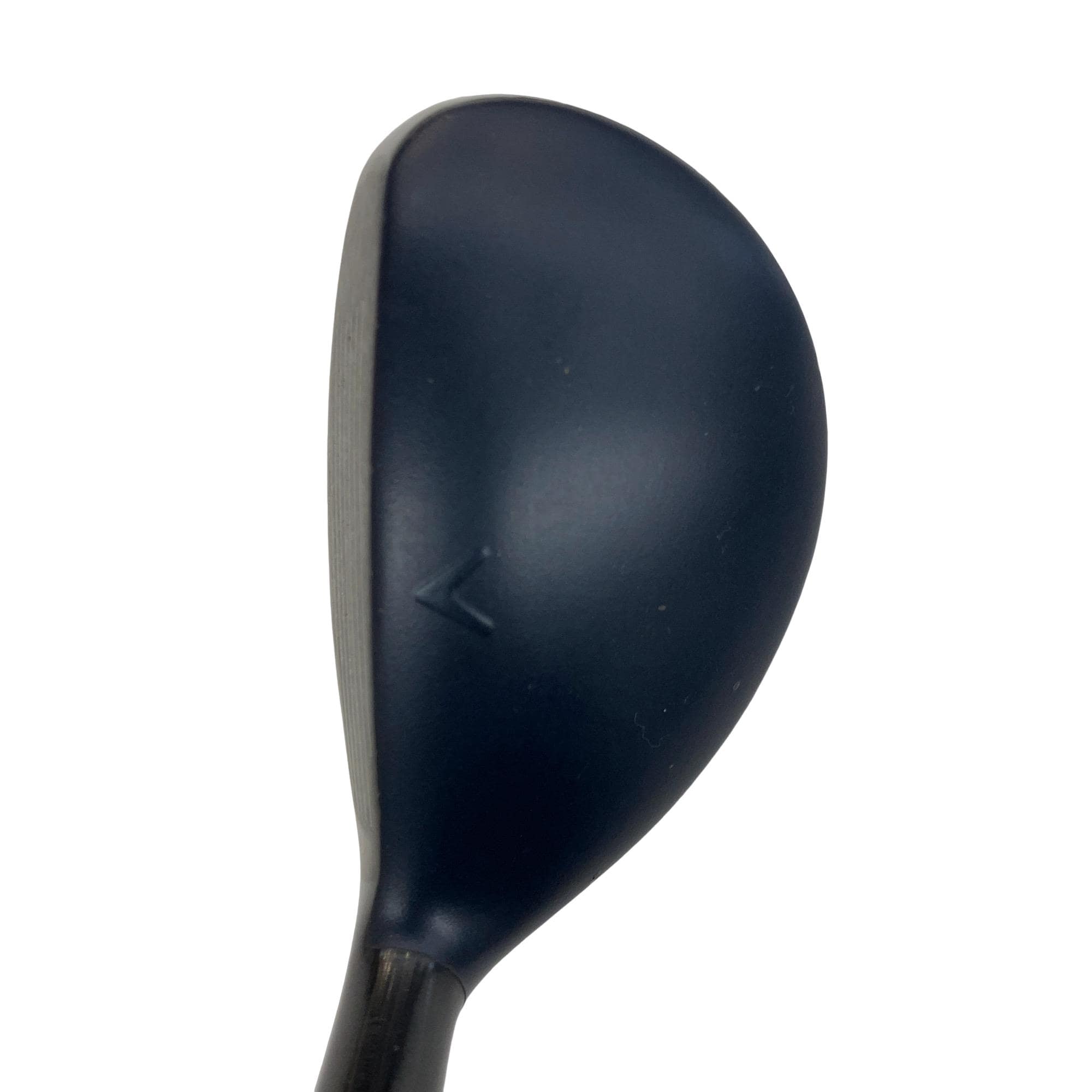 �w�q�@�t�T