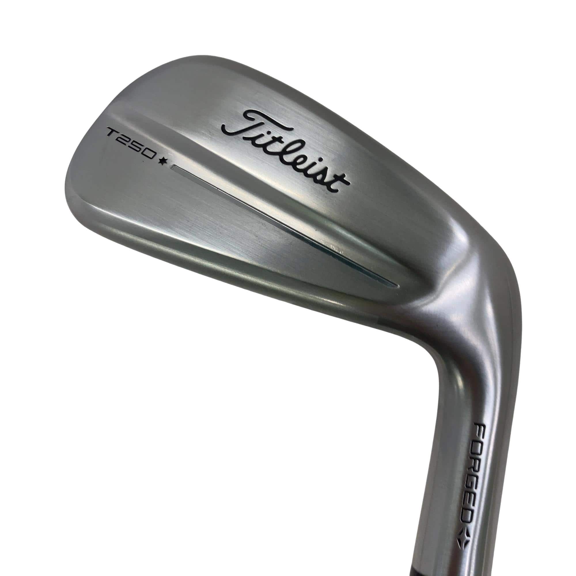 �s���������������@�s�Q�T�O�i�Q�O�Q�T�j�@�@�U�r�i���{���F�T�{�Z�b�g�j