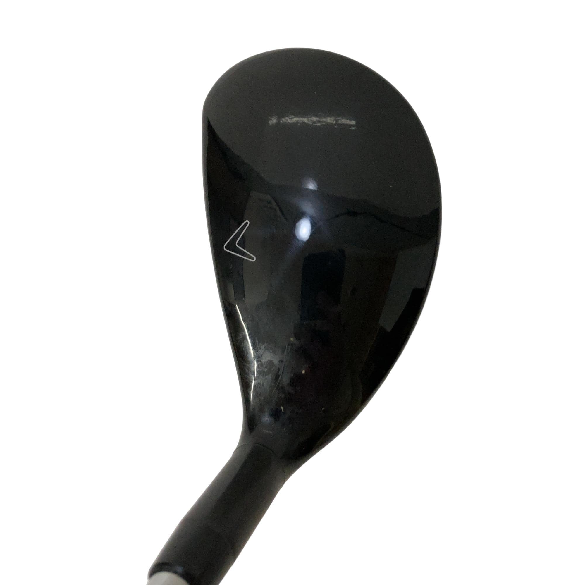 �w�Q�@�g�n�s�@�t�R