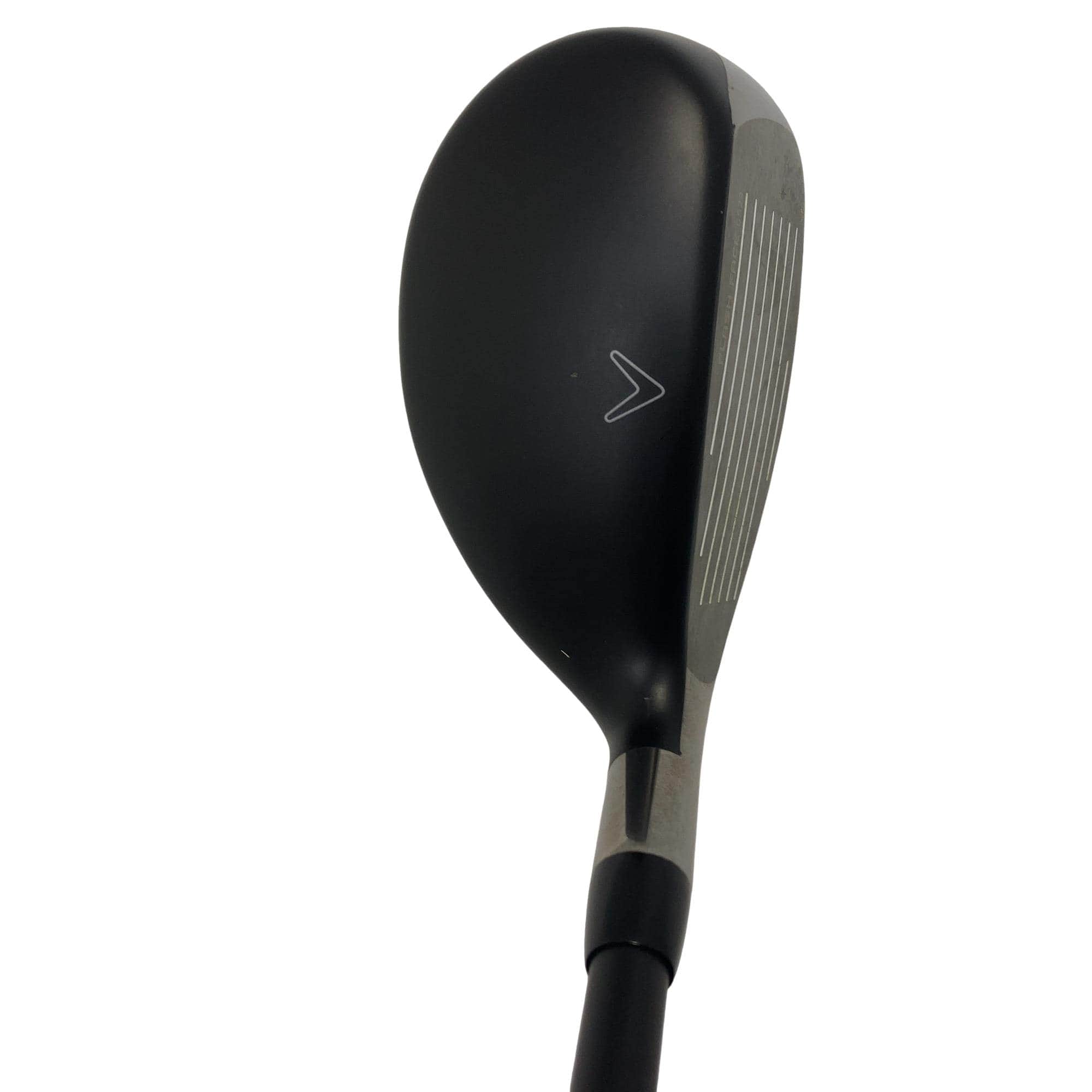 �q�n�f�t�d�@�r�s�@�l�`�w�@�t�T�@���t�e�B