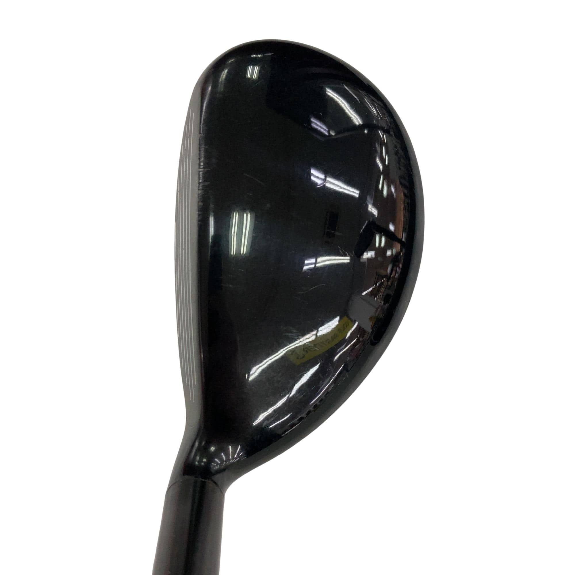 �w�@�g�n�s�@�t�R