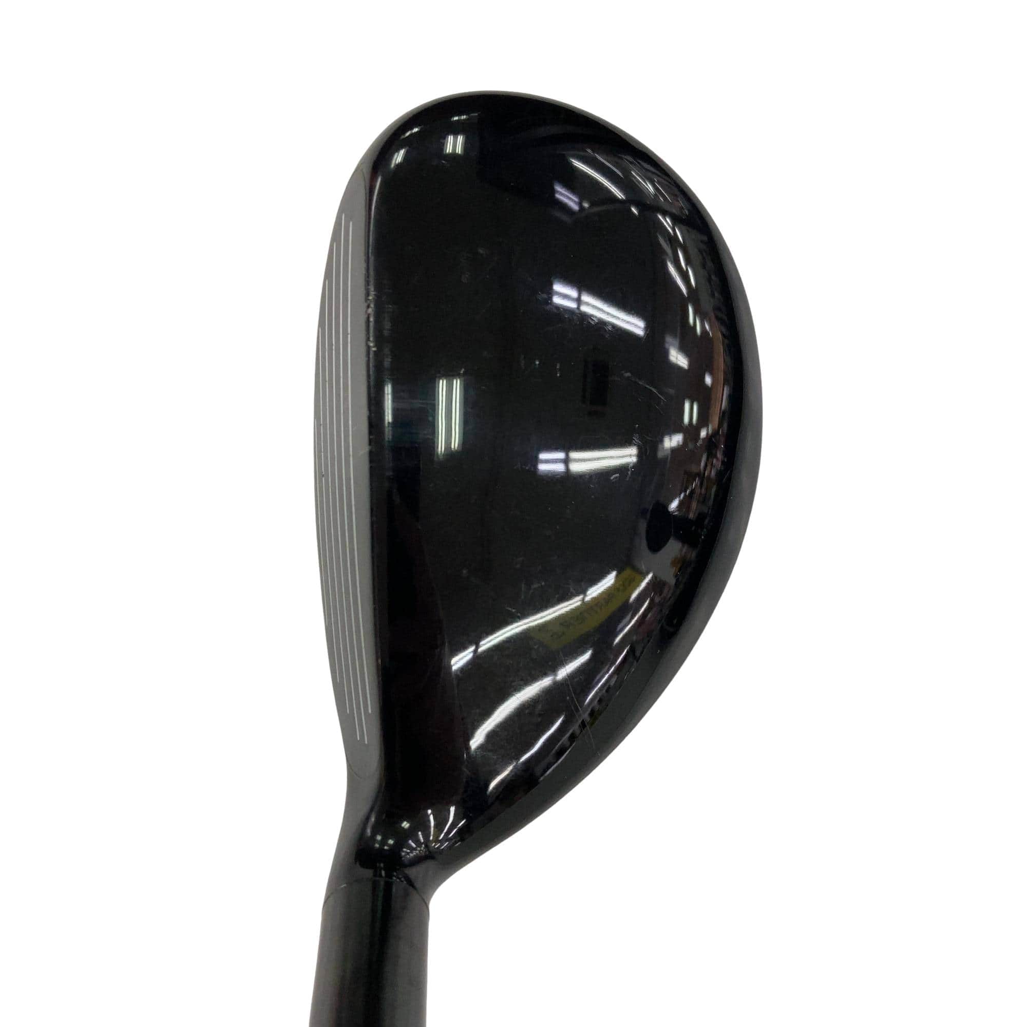 �w�@�g�n�s�@�t�S