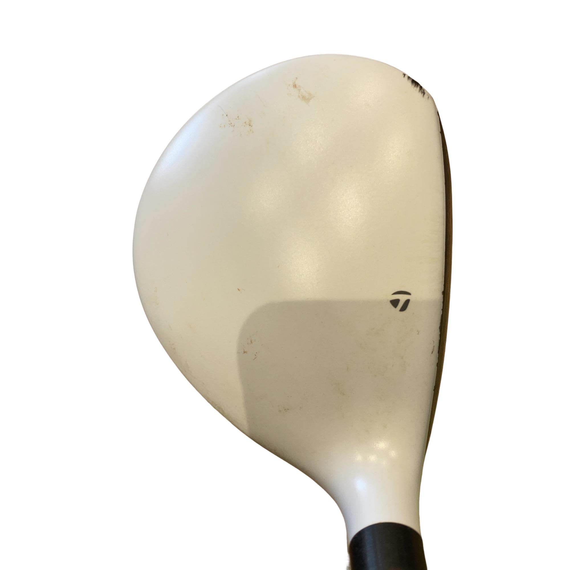 �q�P�T�@�T�v�@���t�e�B