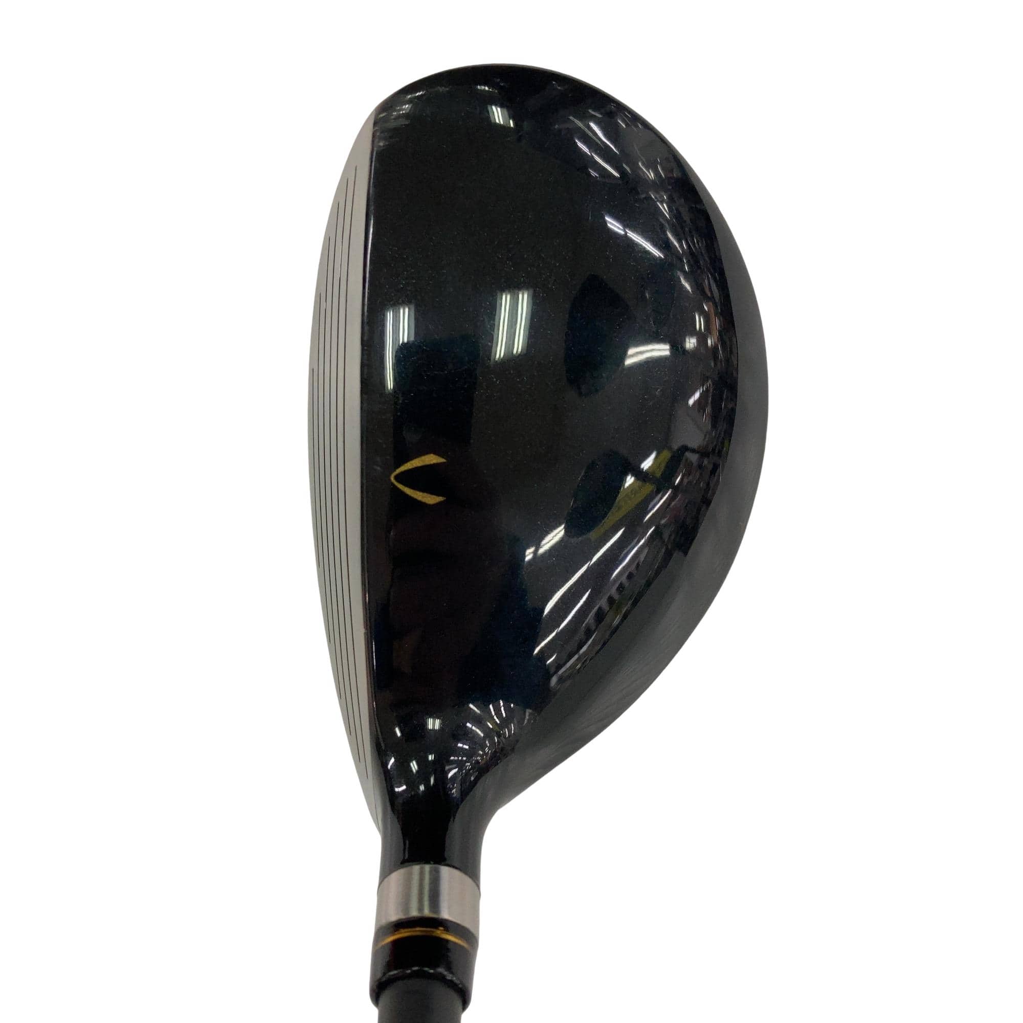 �j�Q�j�@���������O�X���[�e�B���e�B�@�t�T