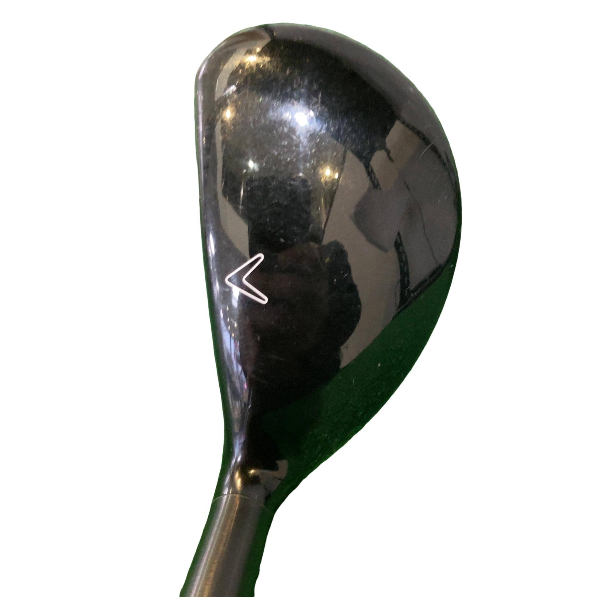 �w�Q�@�g�n�s�@�t�T