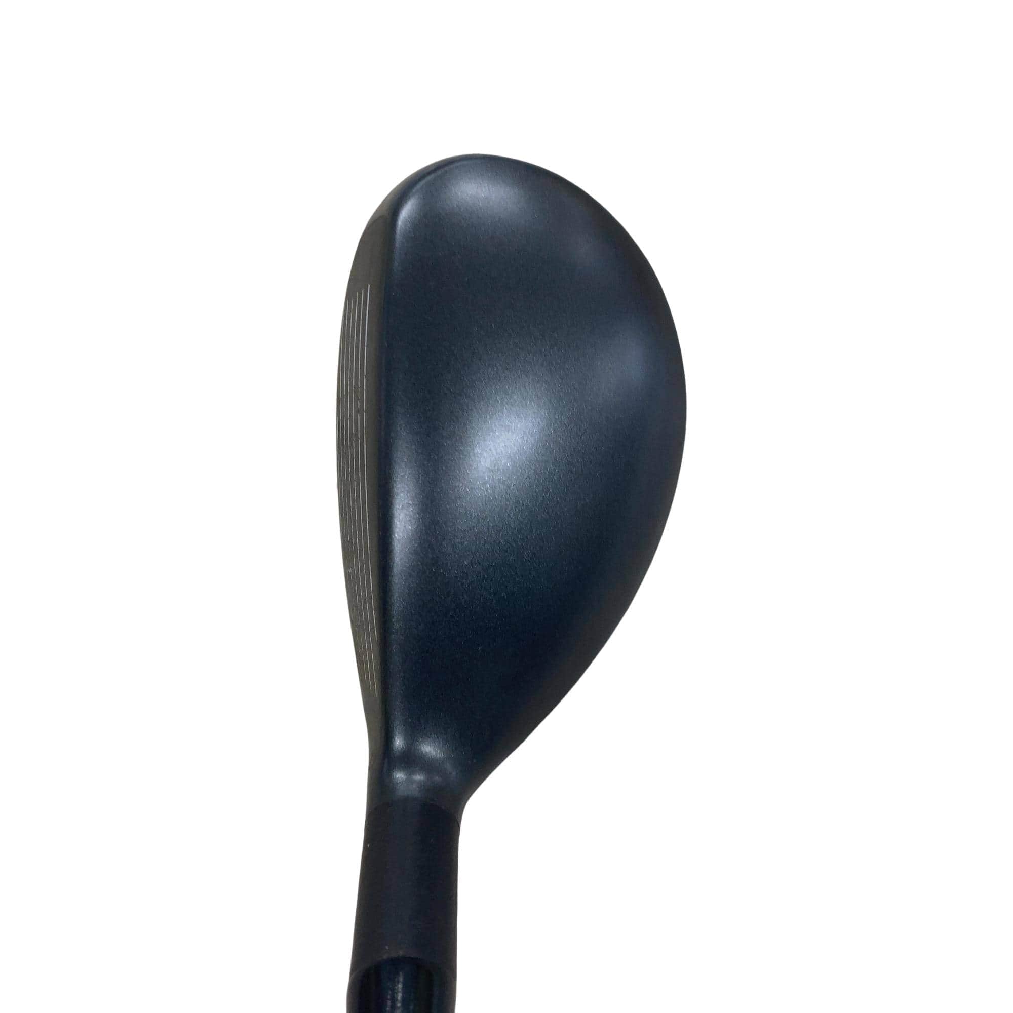 �w�Q�@�g�n�s�@�o�q�n�@�P�W°�@�t�r�`