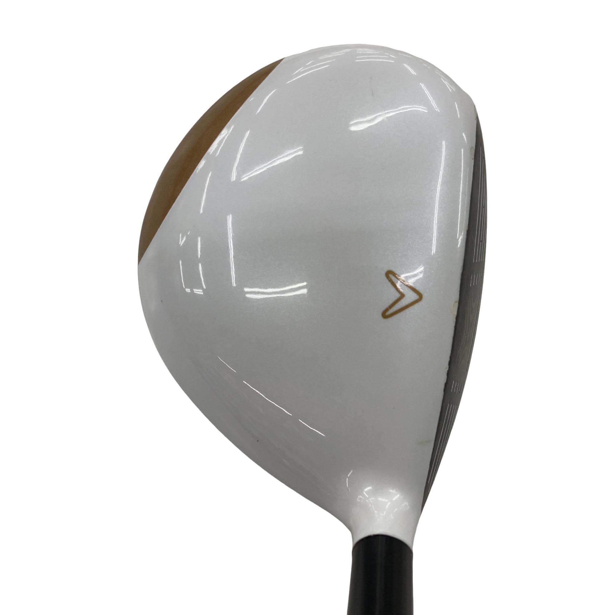 �w�Q�@�g�n�s�@�@�T�v�@���t�e�B