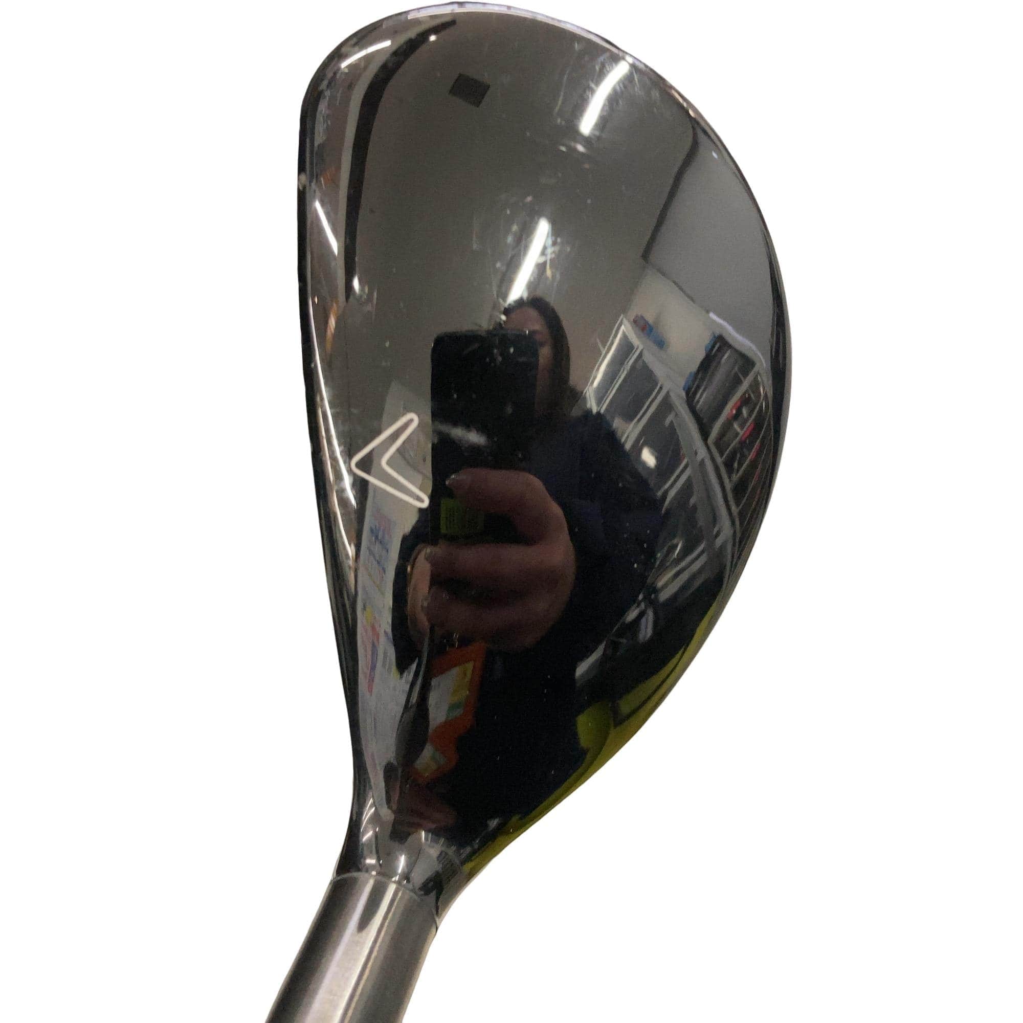 �w�Q�@�g�n�s�@�t�T