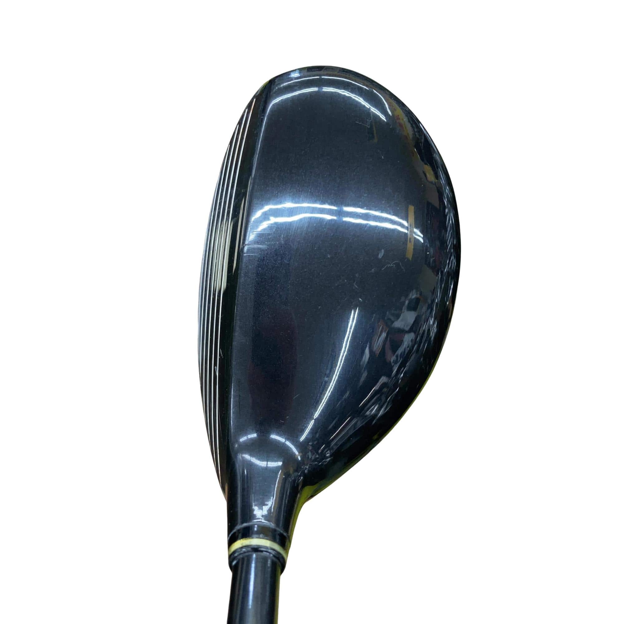 �o�n�v�d�q�@�s�n�q�m�`�c�n�@�d�|�r�������@�T�T