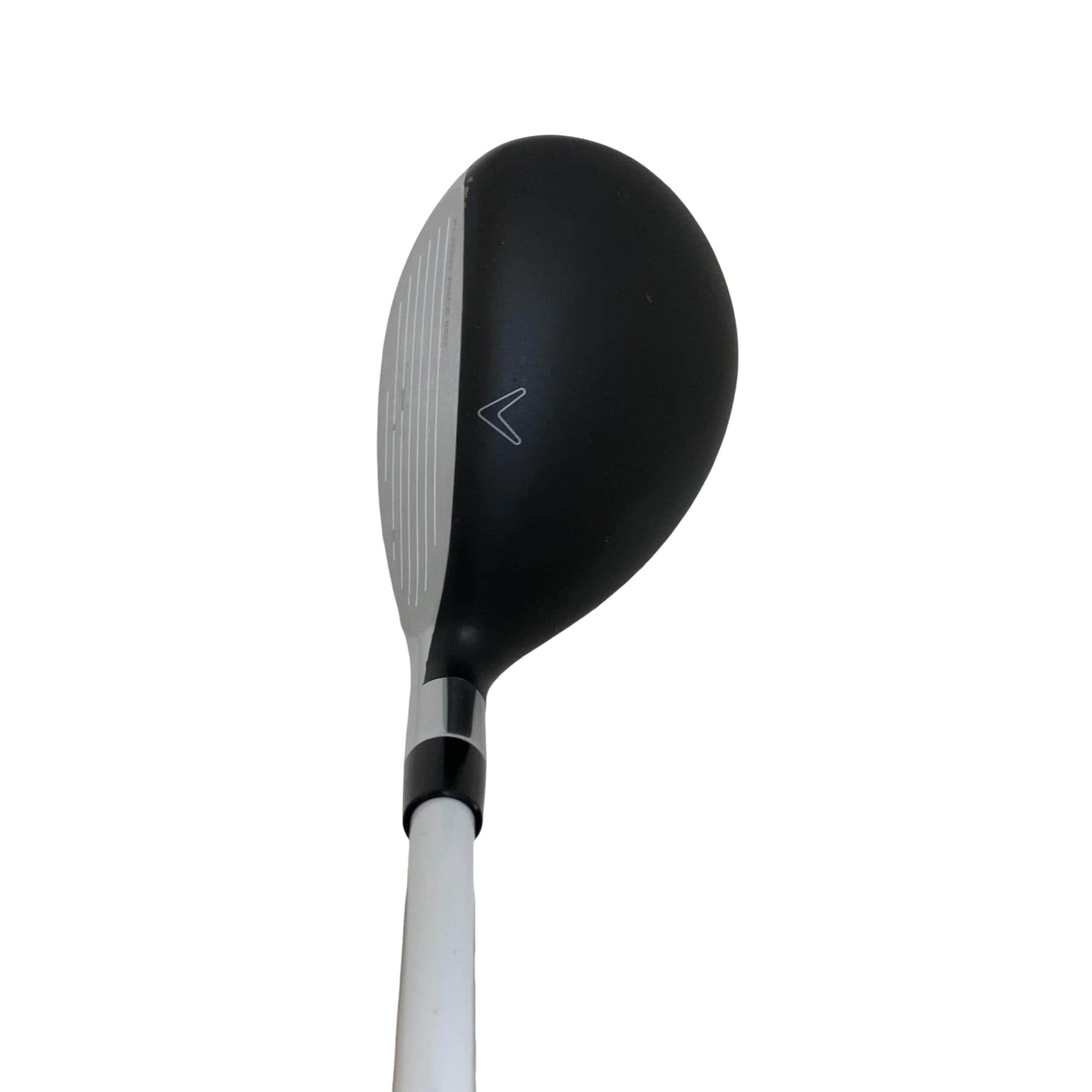 �q�n�f�t�d�@�r�s�@�l�`�w�@�e�`�r�s�@�t�U�@���f�B�[�X