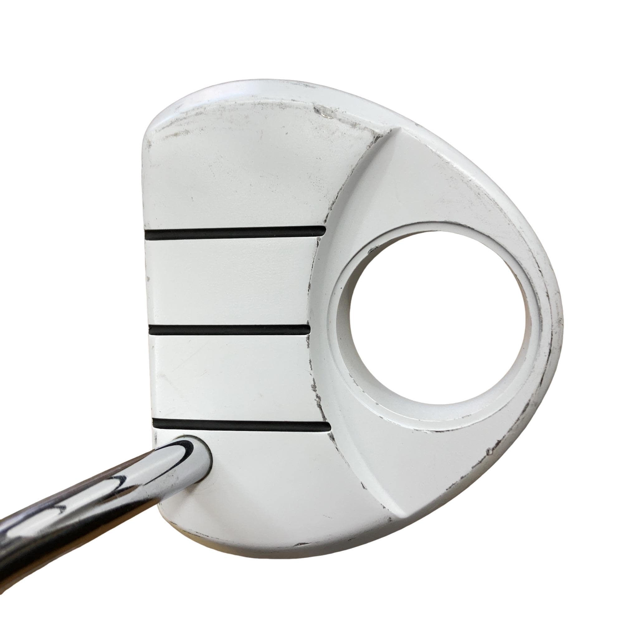 �q���������@�f�g�n�r�s�@���������{�@�b�n�q�y�`�@�R�S�C���`