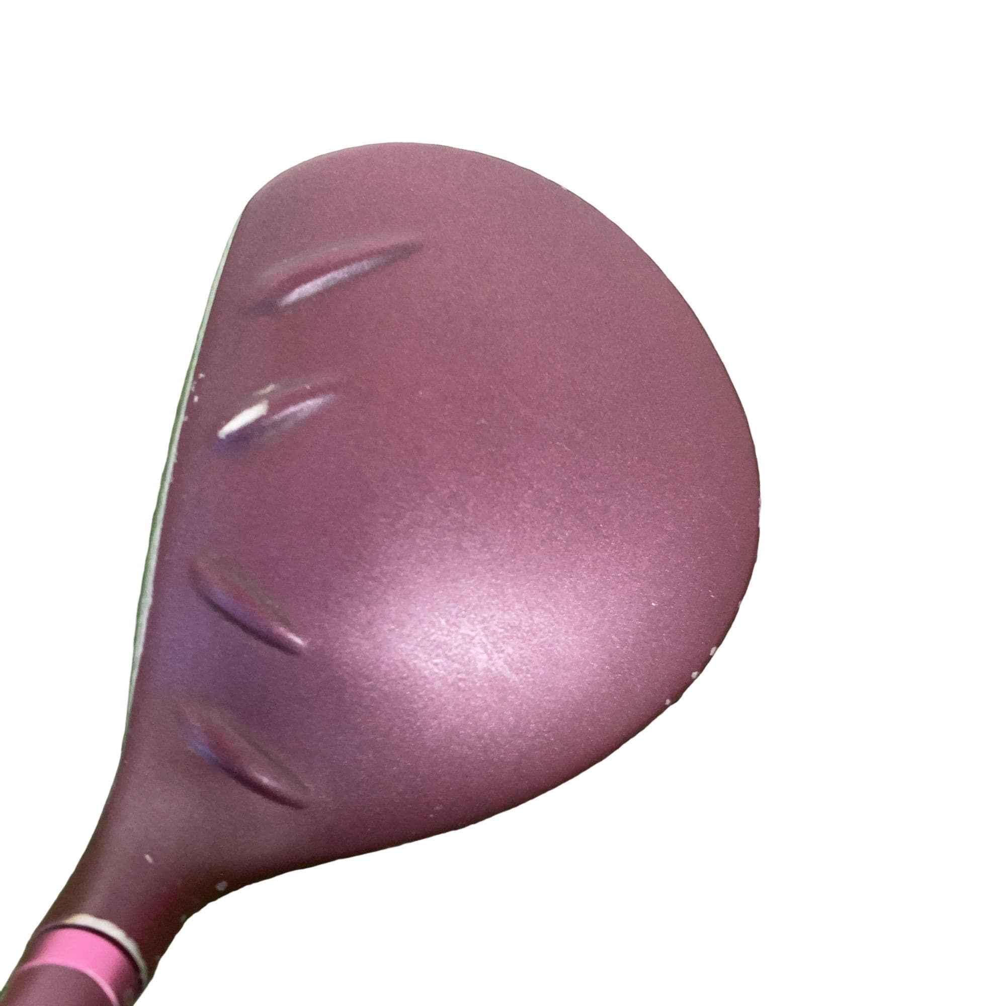 �f�@�k���Q�@�T�v�@���f�B�[�X