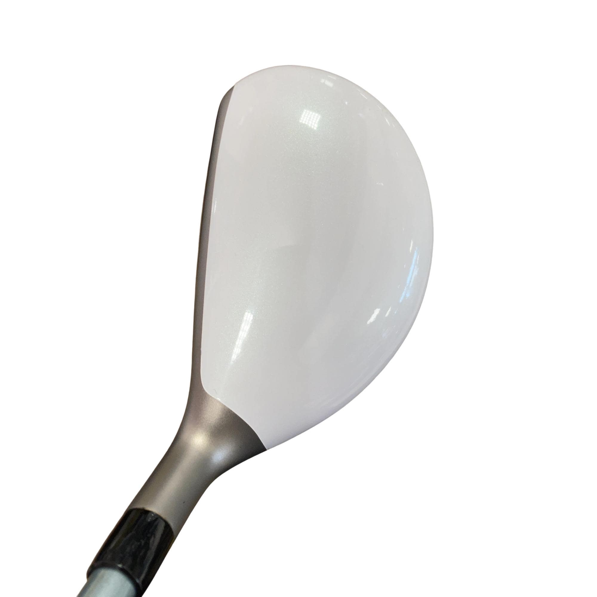 �a�q�|�w�@�t�T�@���f�B�[�X