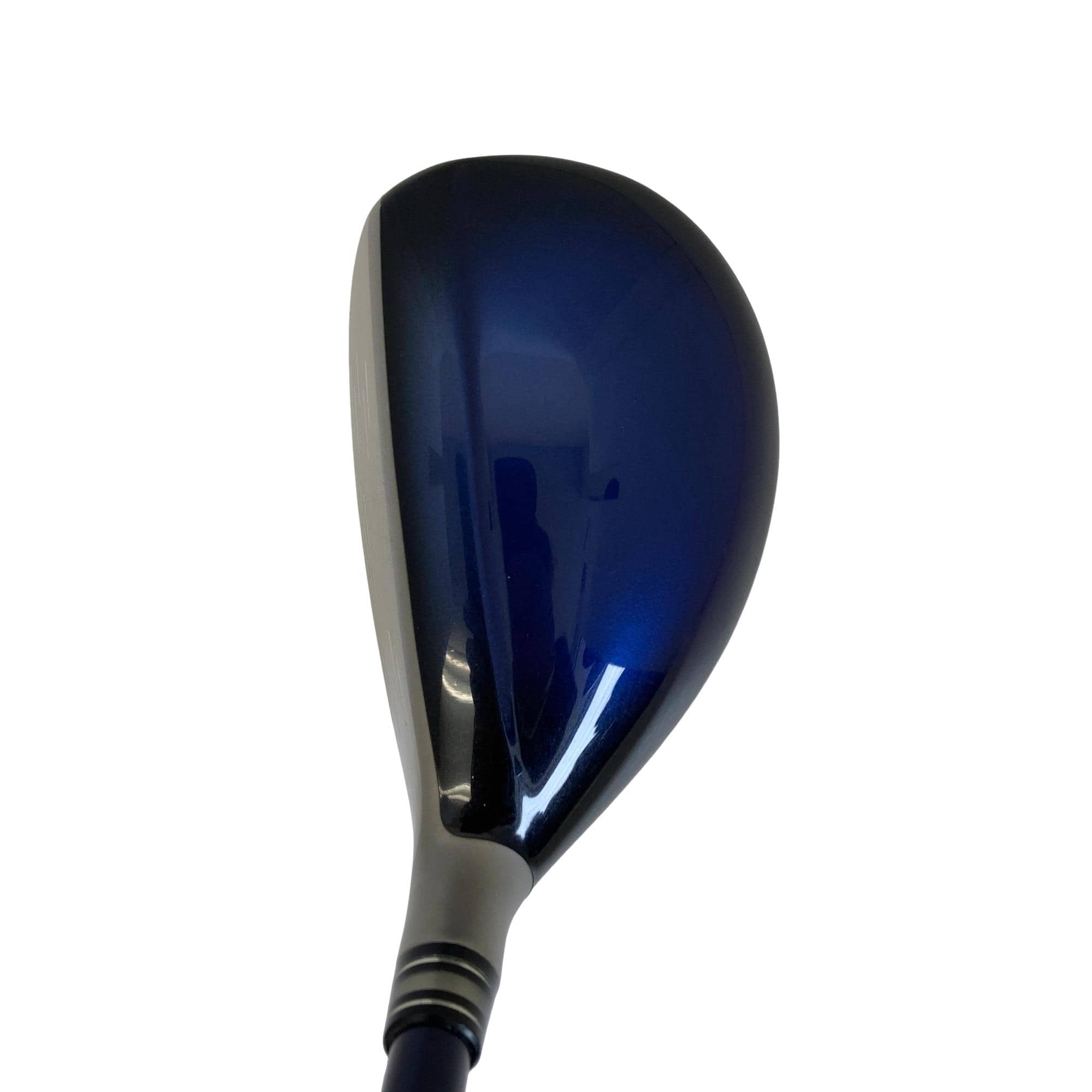 �w�w�h�n�i�Q�O�P�W�j�@�g�T