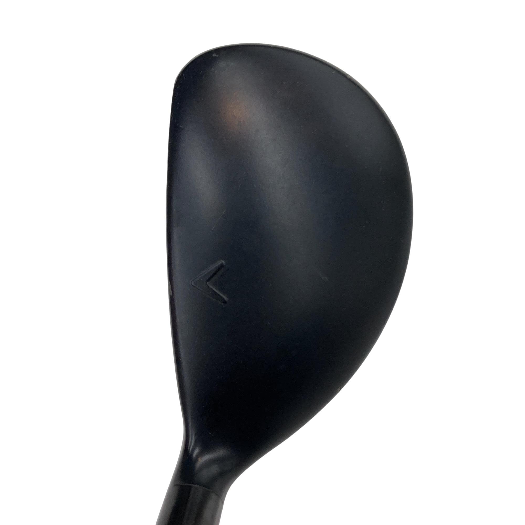 �w�q�@�P�U�@�n�r�@�t�R