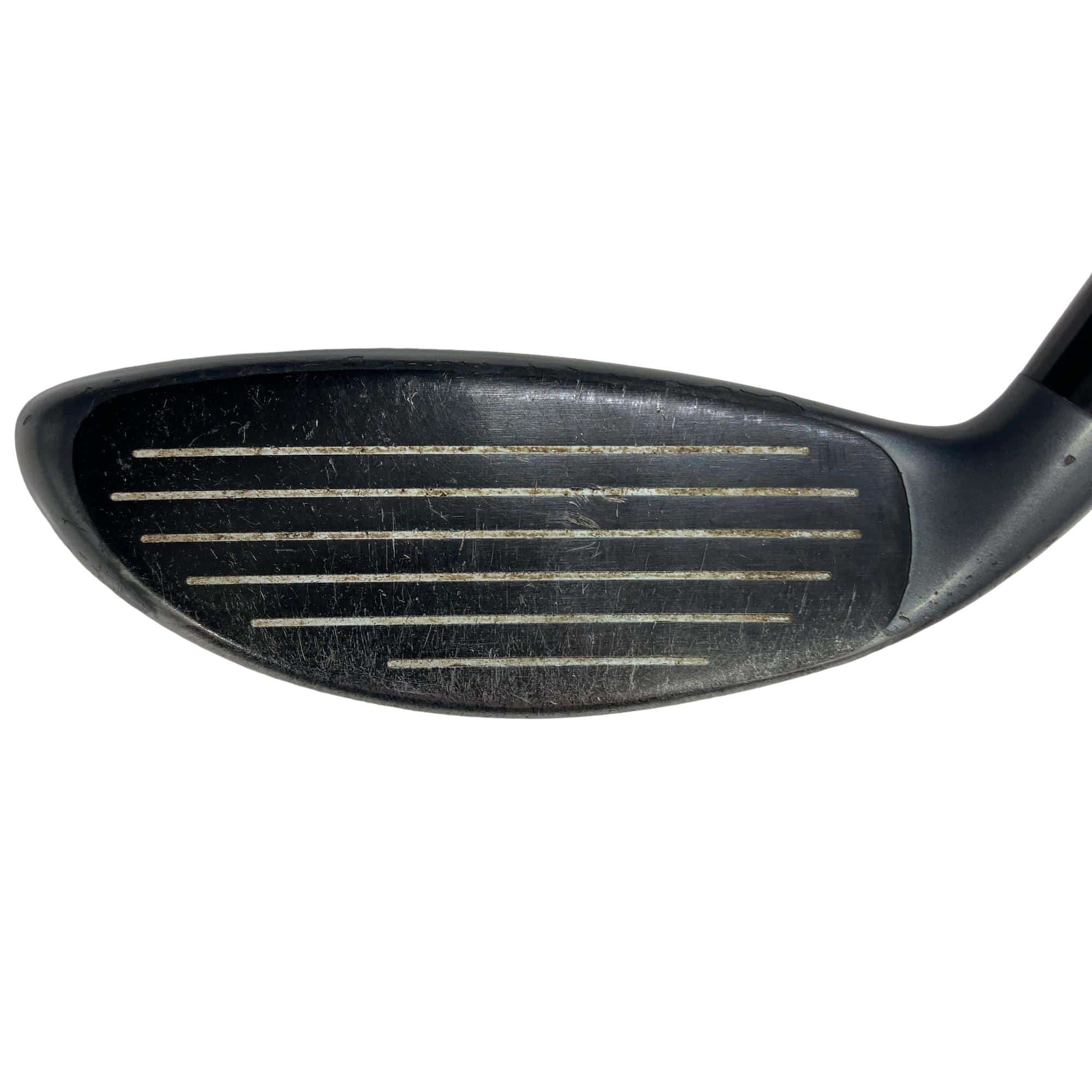 �w�@�g�n�s�@�t�S