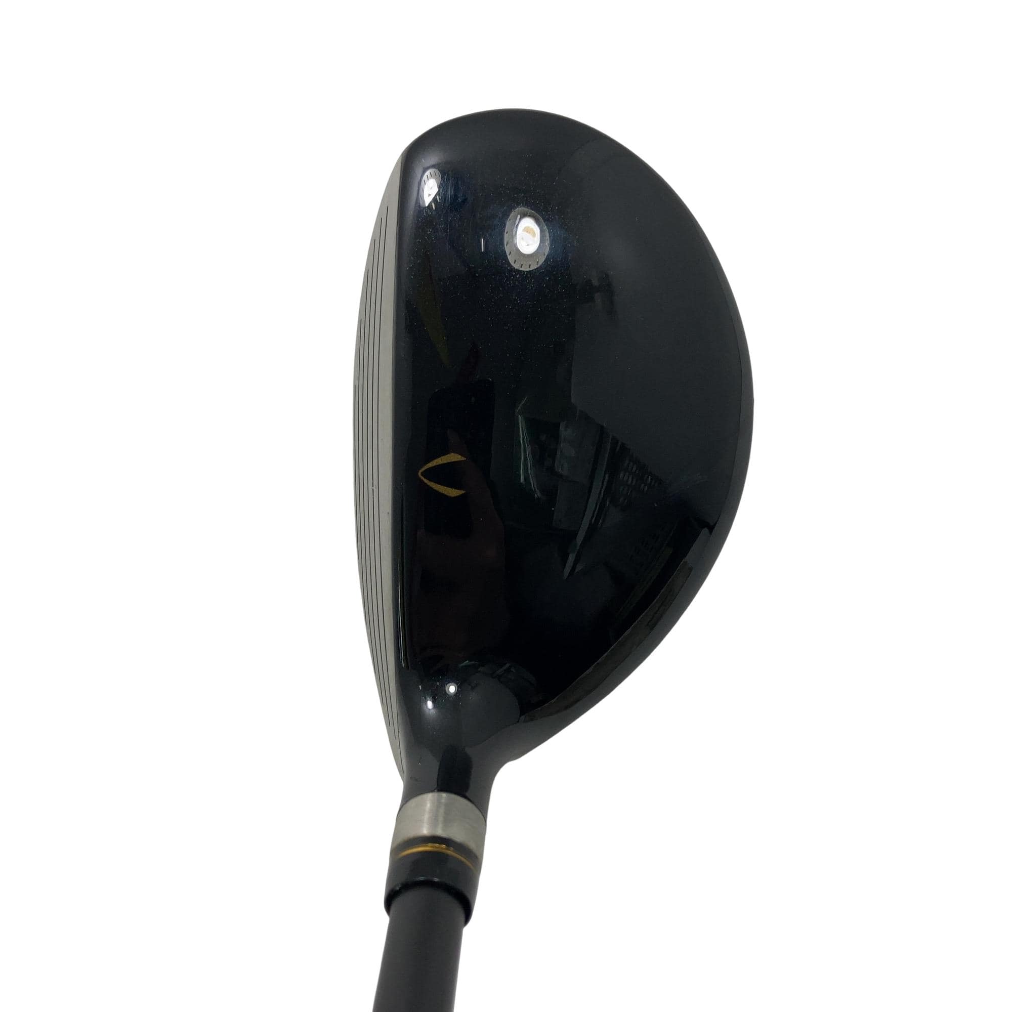 �j�Q�j�@���������O�X���[�e�B���e�B�@�t�T