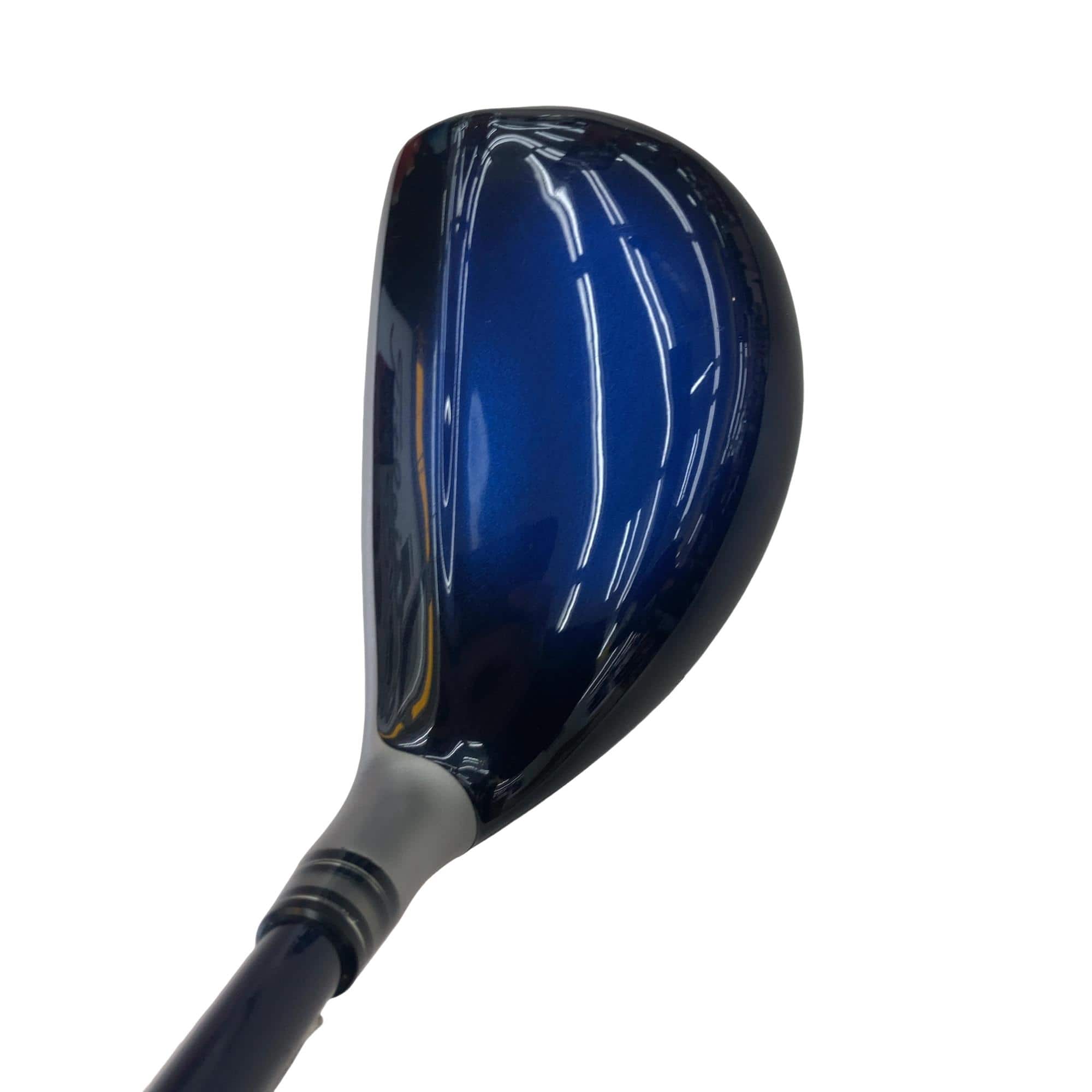 �w�w�h�n�i�Q�O�P�W�j�@�g�T