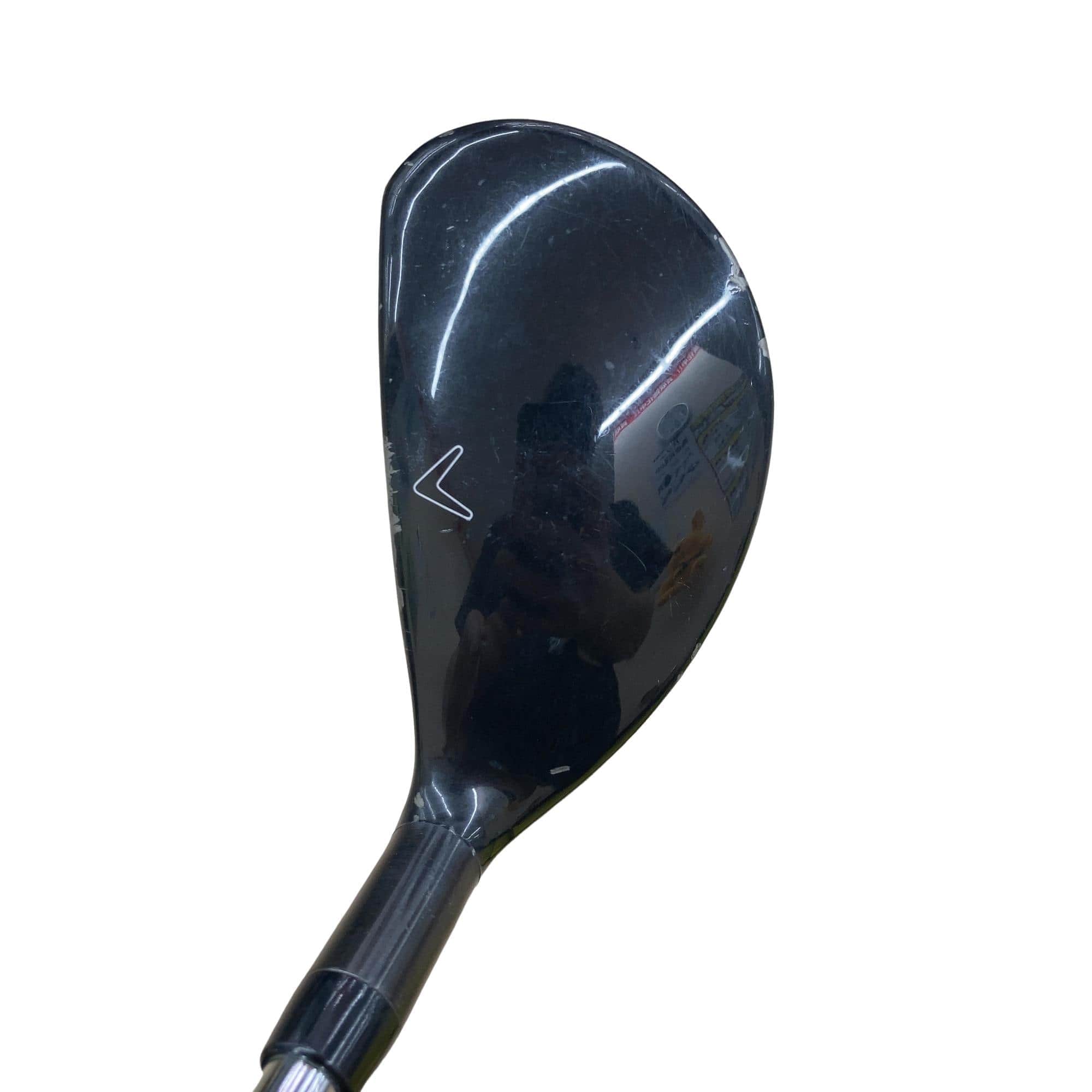 �w�Q�@�g�n�s�@�t�T