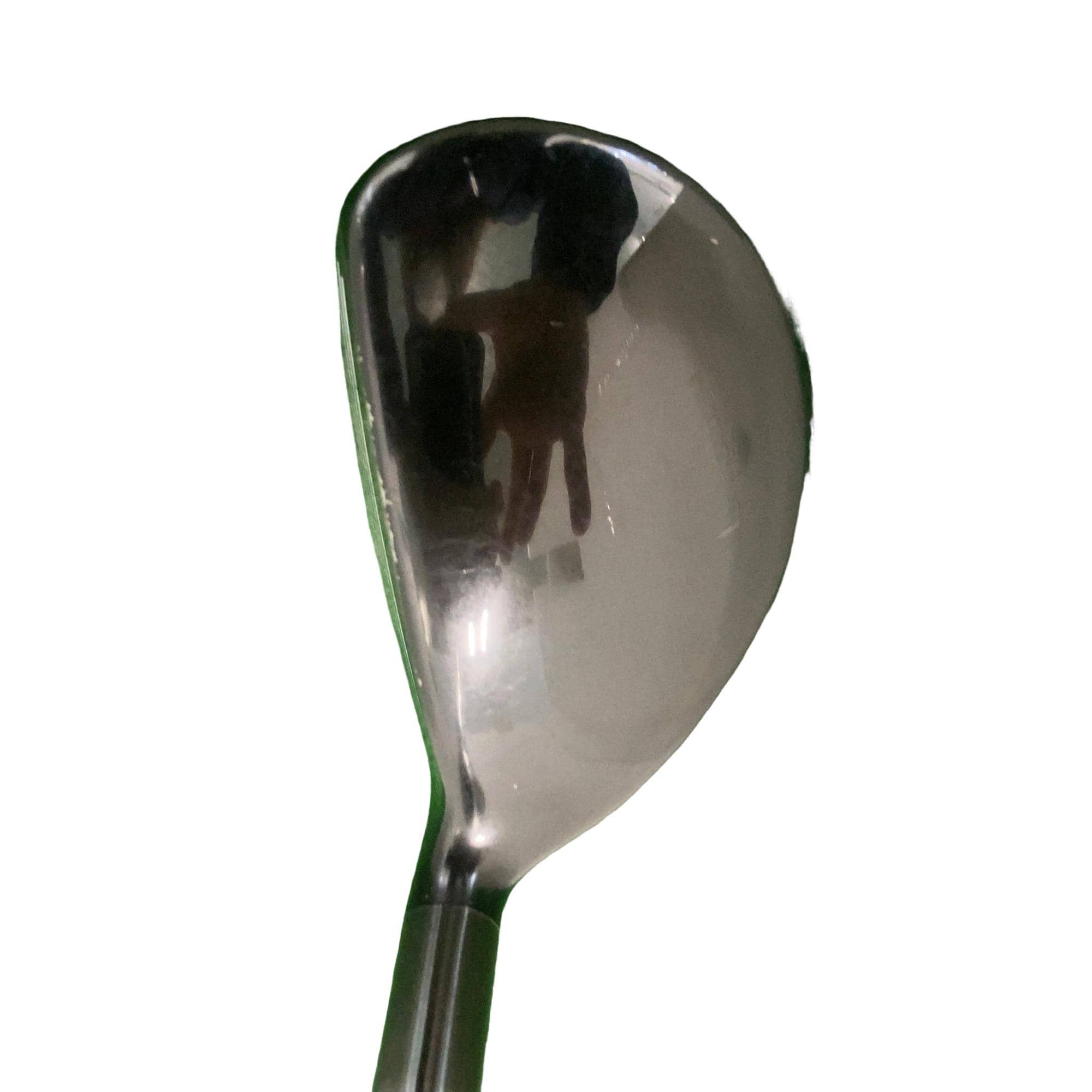 �w�@�g�n�s�@�t�T