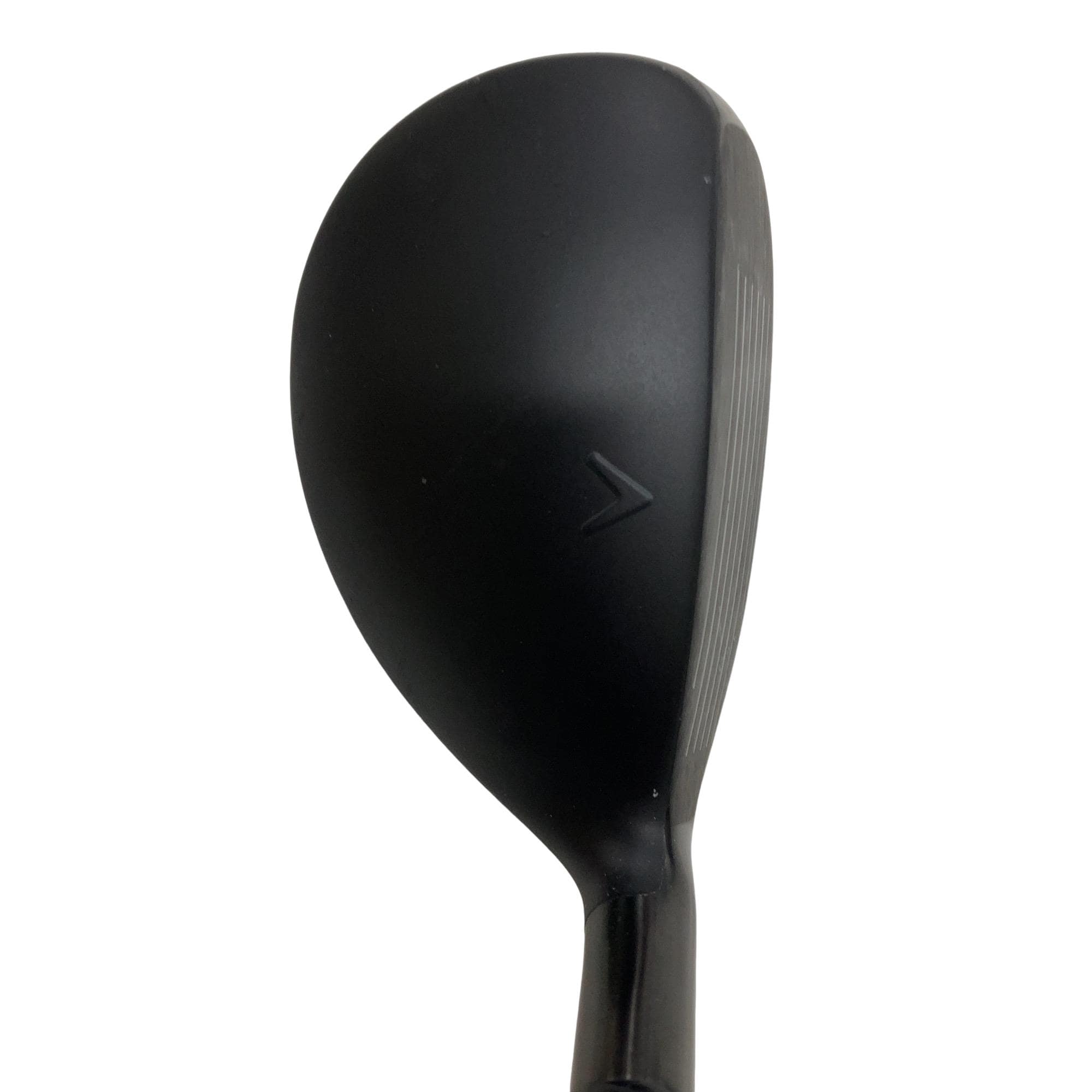 �w�q�@�P�U�@�n�r�@�t�R�@���t�e�B