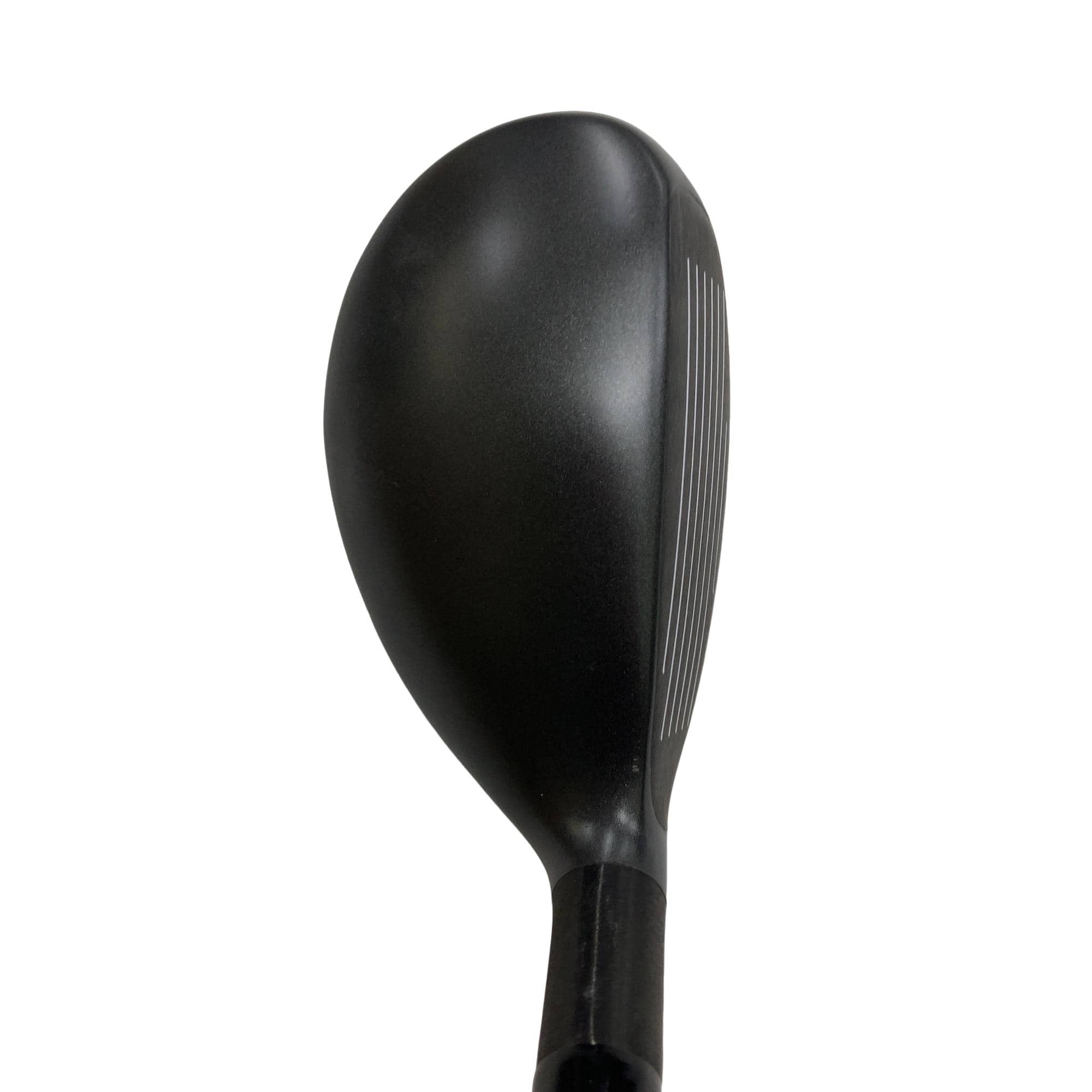 �w�Q�@�g�n�s�@�o�q�n�@�P�W°�@���t�e�B�@�t�r�`