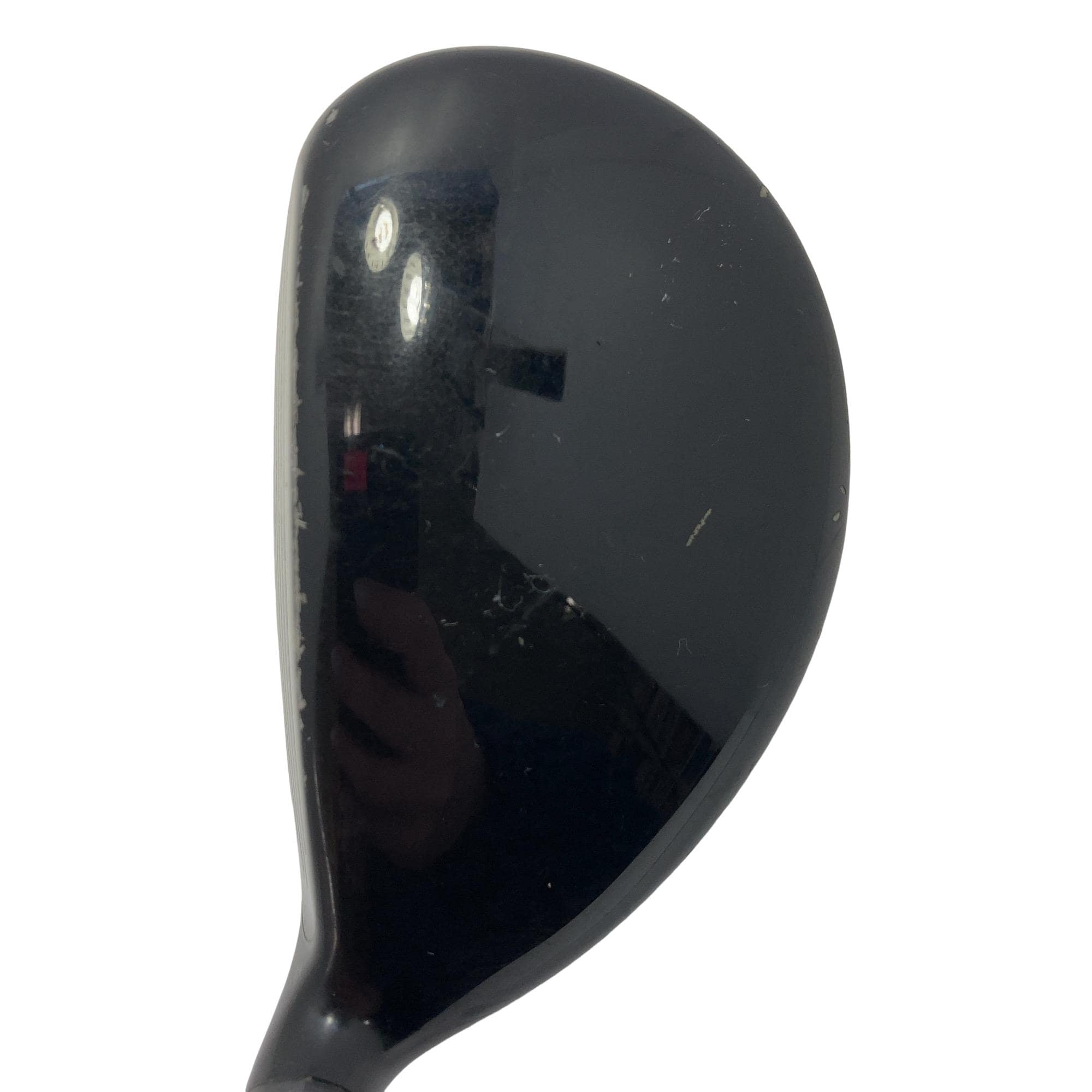 �w�@�g�n�s�@�t�S