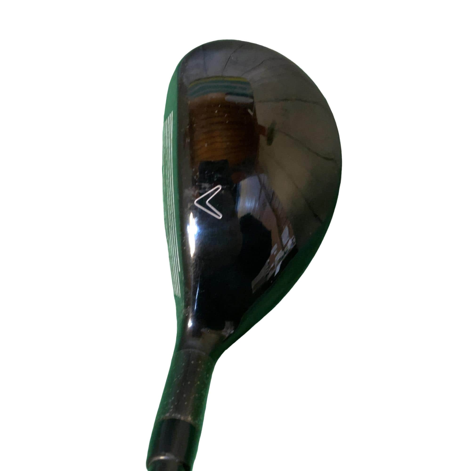 �w�Q�@�g�n�s�@�t�T