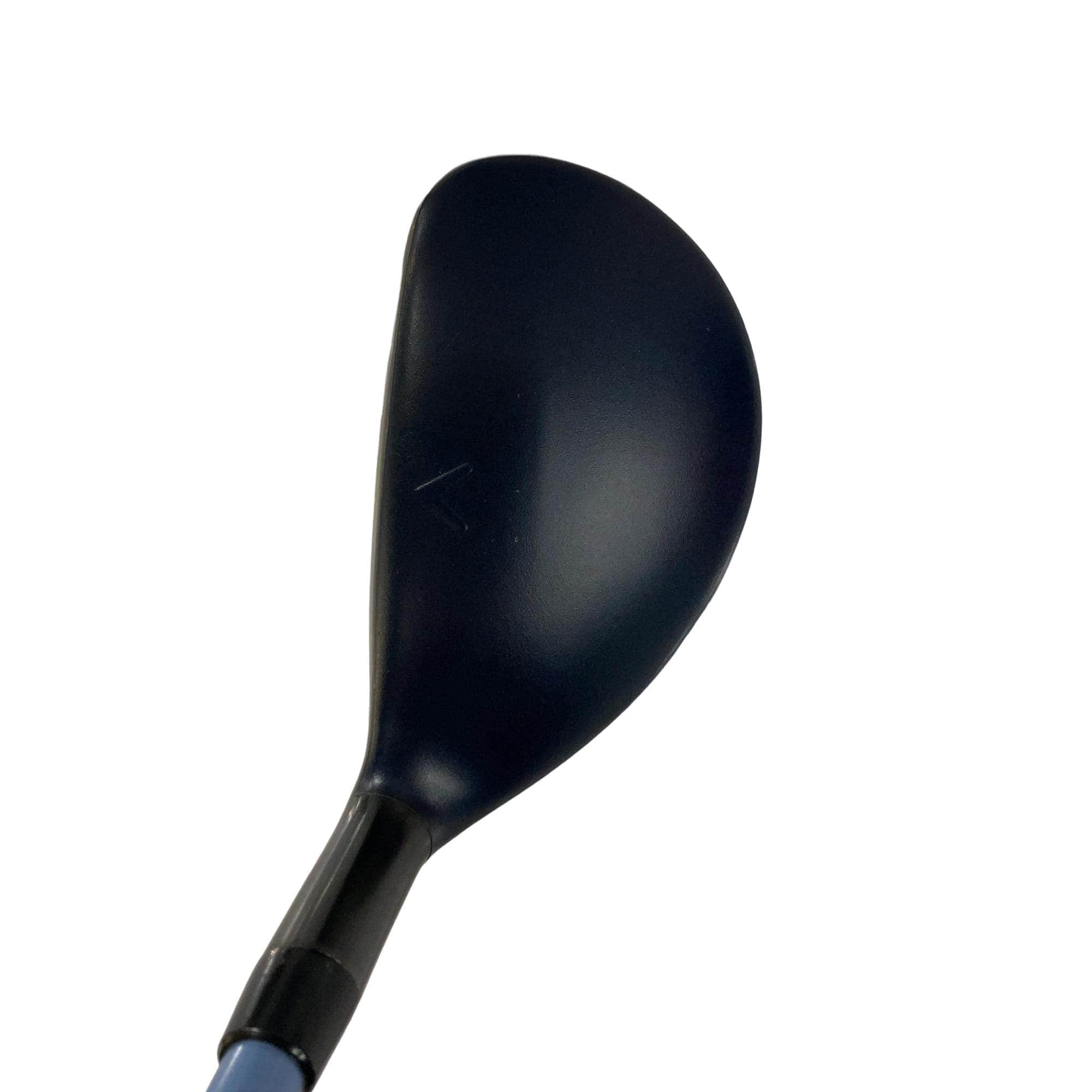 �w�q�@�t�S�@���f�B�[�X