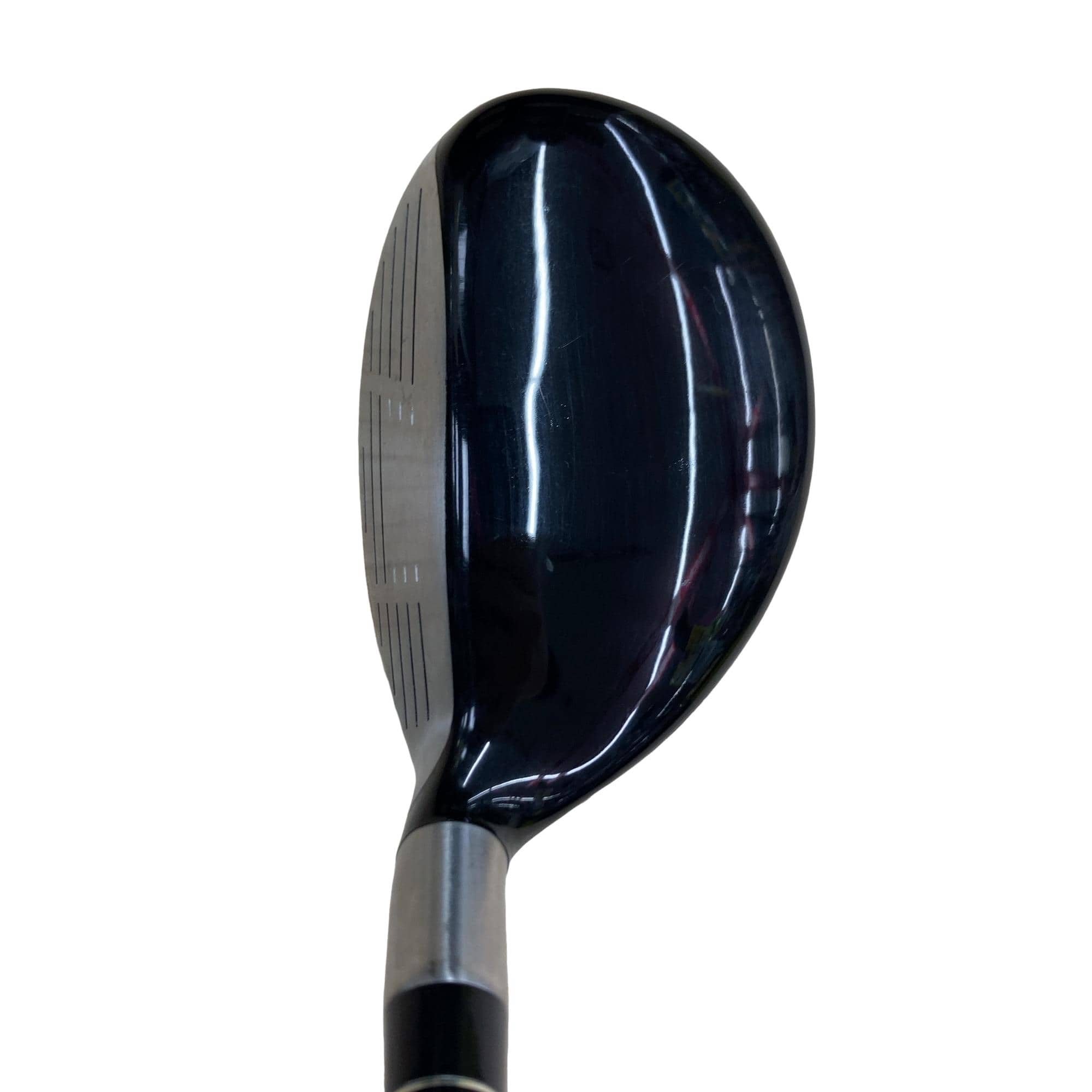 �e�s�@���[�e�B���e�B�@�m�d�t�s�q�`�k�@�S�g�@�t�r�`