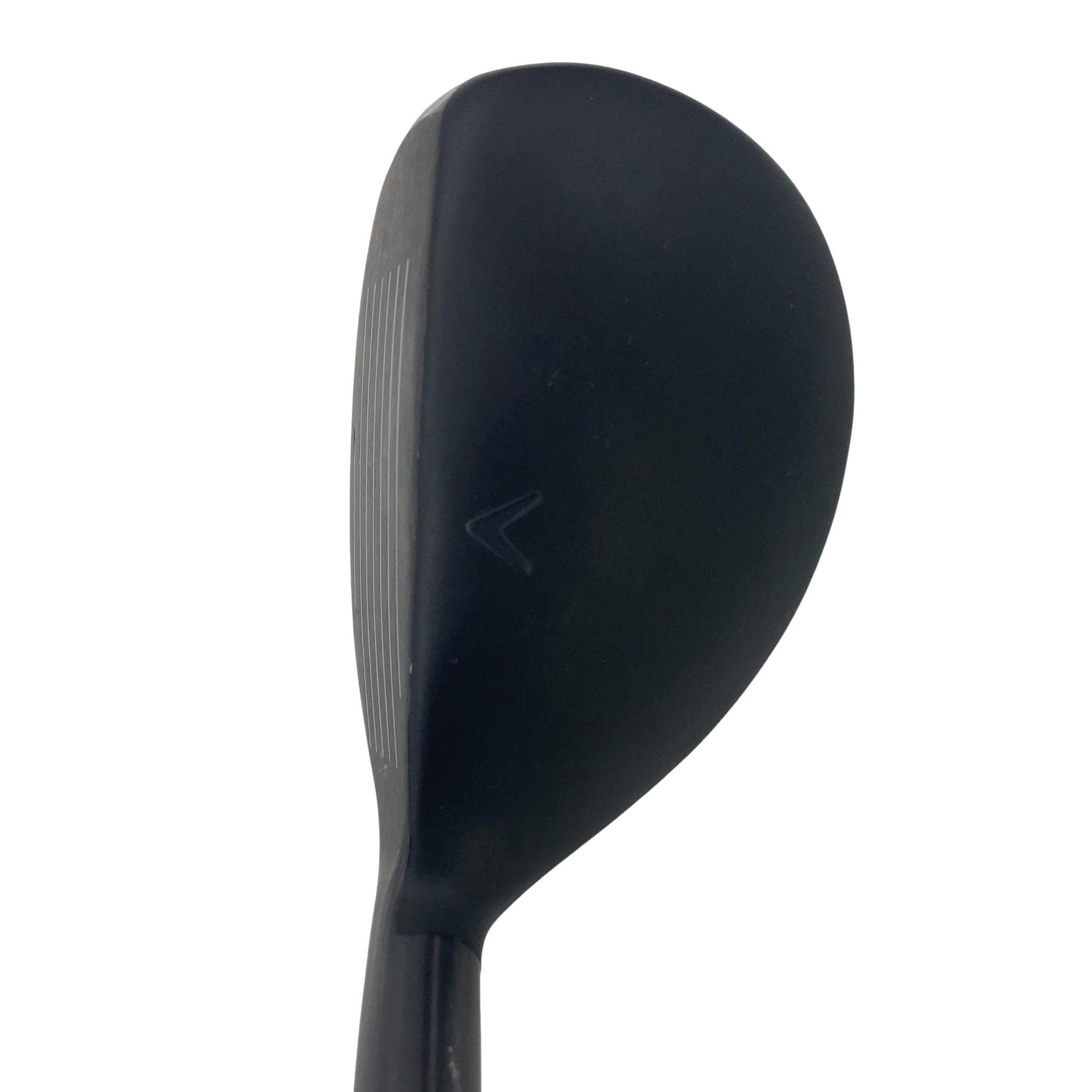 �w�q�@�P�U�@�n�r�@�t�R