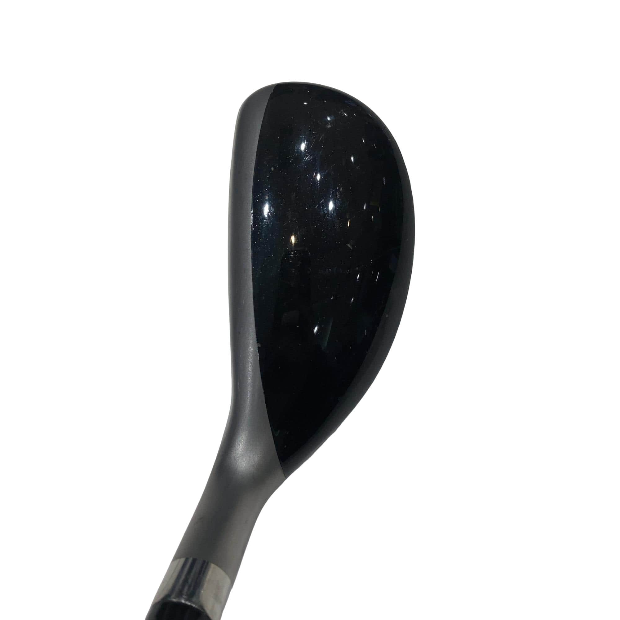 �u�q�@�o�q�n�@���[�e�B���e�B�@�t�R�@�t�r�`